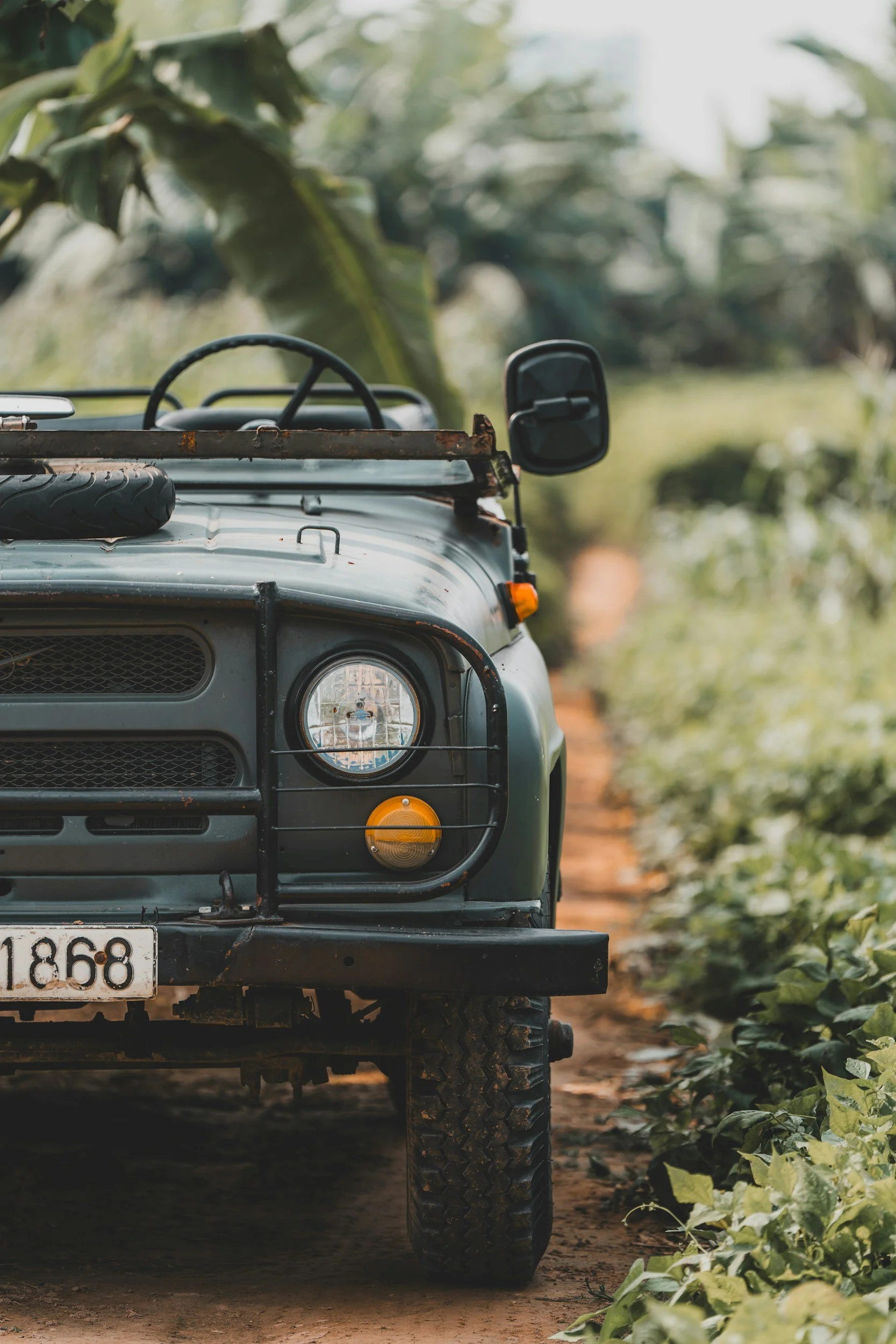 unsplash-image-Ol4JjGoO1lE.jpg