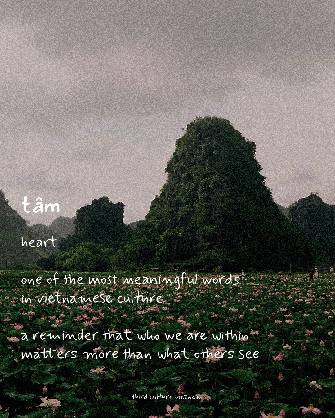 Every Vietnamese name carries a story.

Some speak to grace, like Như. Others reflect resilience, like Thủy, wonder like Ti&ecirc;n, warmth like Nhung, or character and heart like T&acirc;m.

Long before we choose who we want to become, someone choos