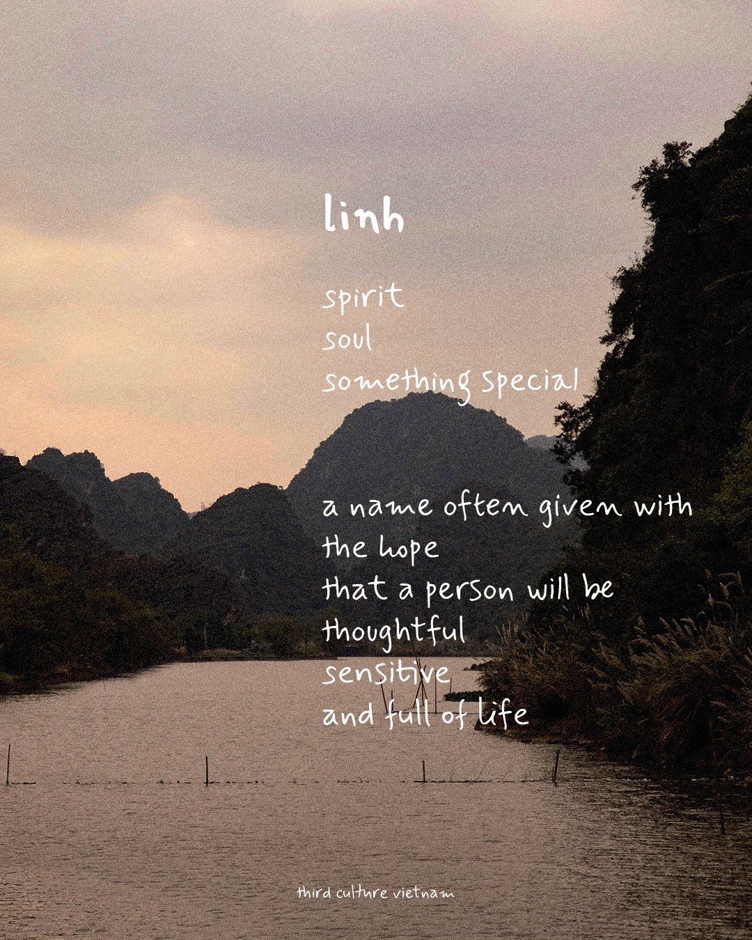 Names are often the first gift we receive.

Long before we choose our own path, someone chooses a name and, with it, a hope for who we might become.

In Vietnamese culture, names can carry blessings, values, family stories, and dreams for the future.