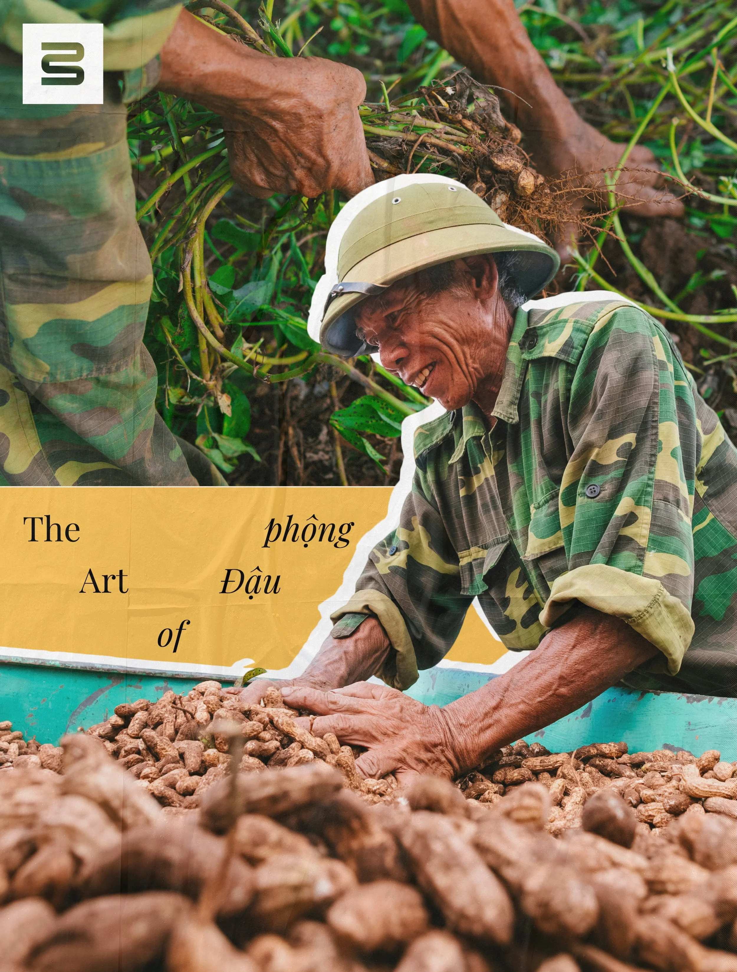 The Art of Đậu Phộng 🥜 

Beneath the soil, one of Vietnam&rsquo;s most important crops quietly grows.

From the sandy coastal fields of Nghệ An and H&agrave; Tĩnh to the fertile plains of the Mekong Delta, generations of farmers have cultivated pean