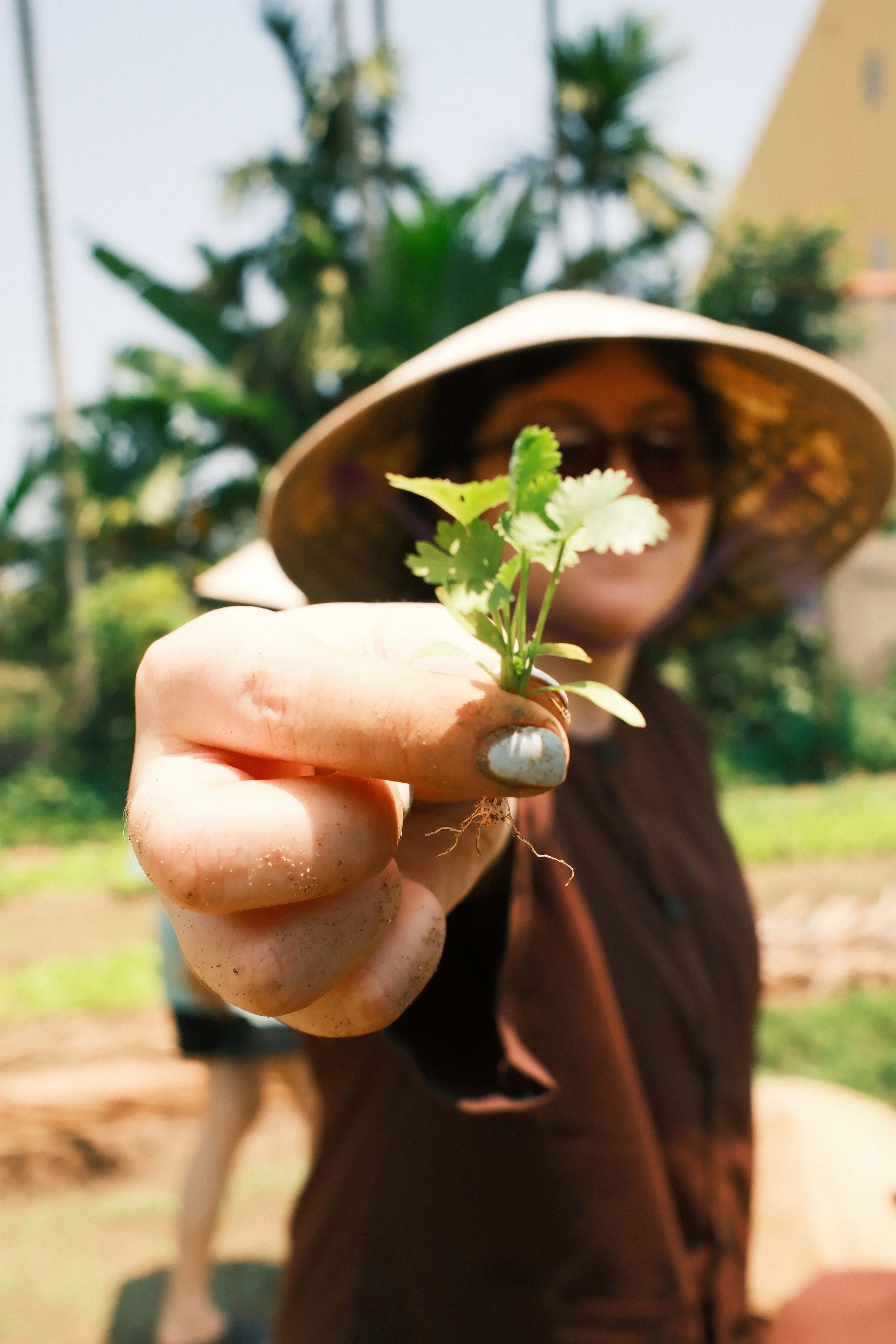 A person wearing a wide-brimmed hat holds a small green plant with roots visible, in an outdoor setting with trees and blue sky.