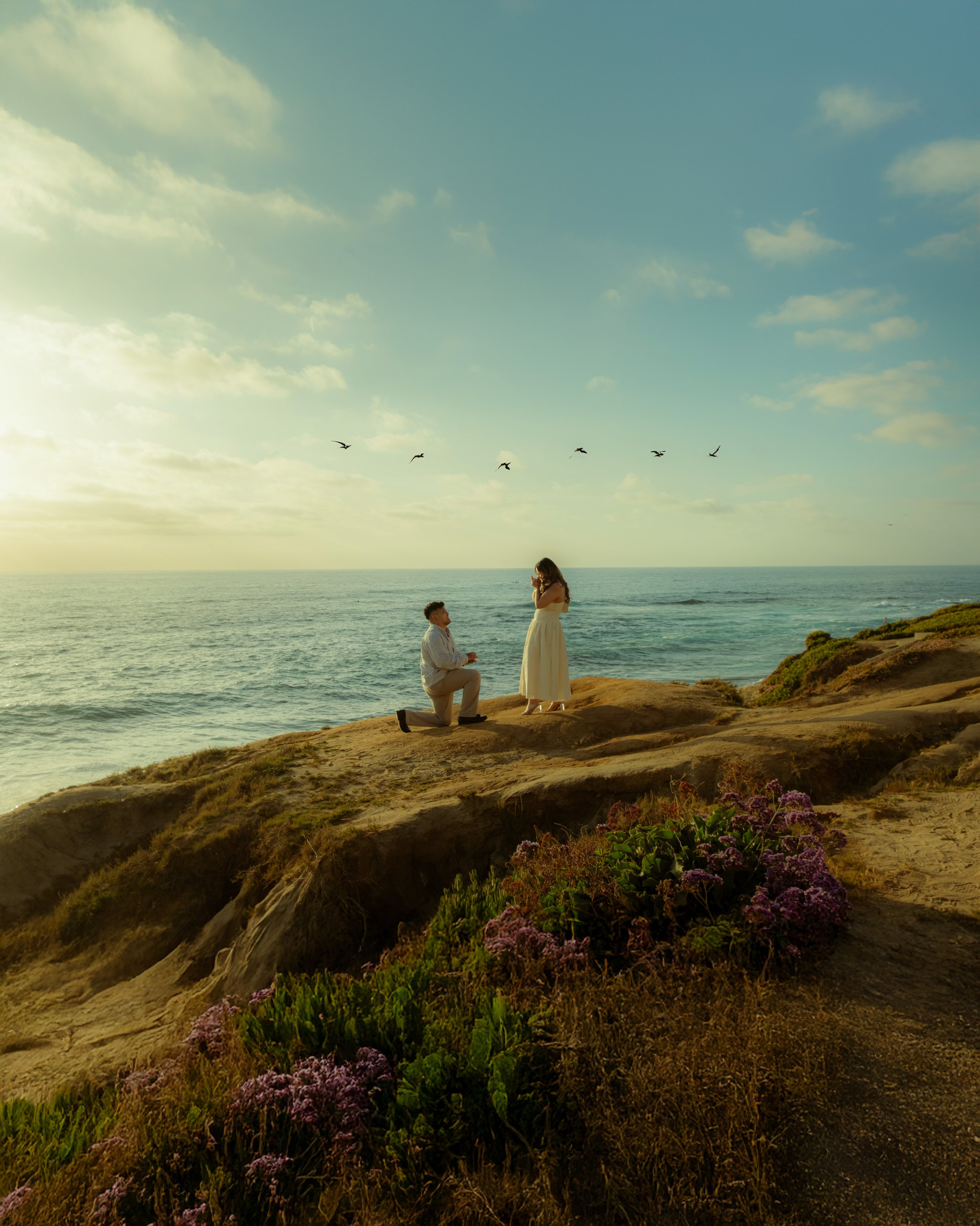 Engagements & Proposals