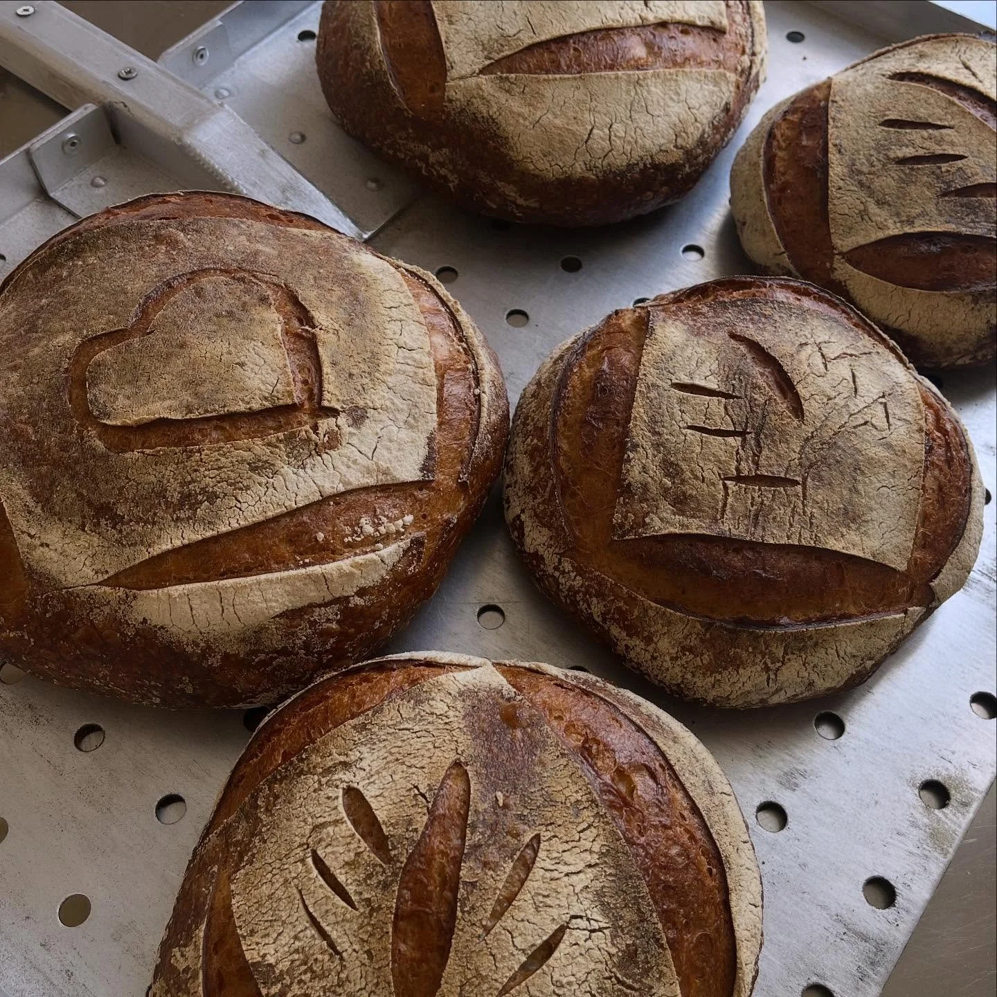 Franz&ouml;sisches Landbrot aus festem Weizensauer und Steinm&uuml;hlenmehl.