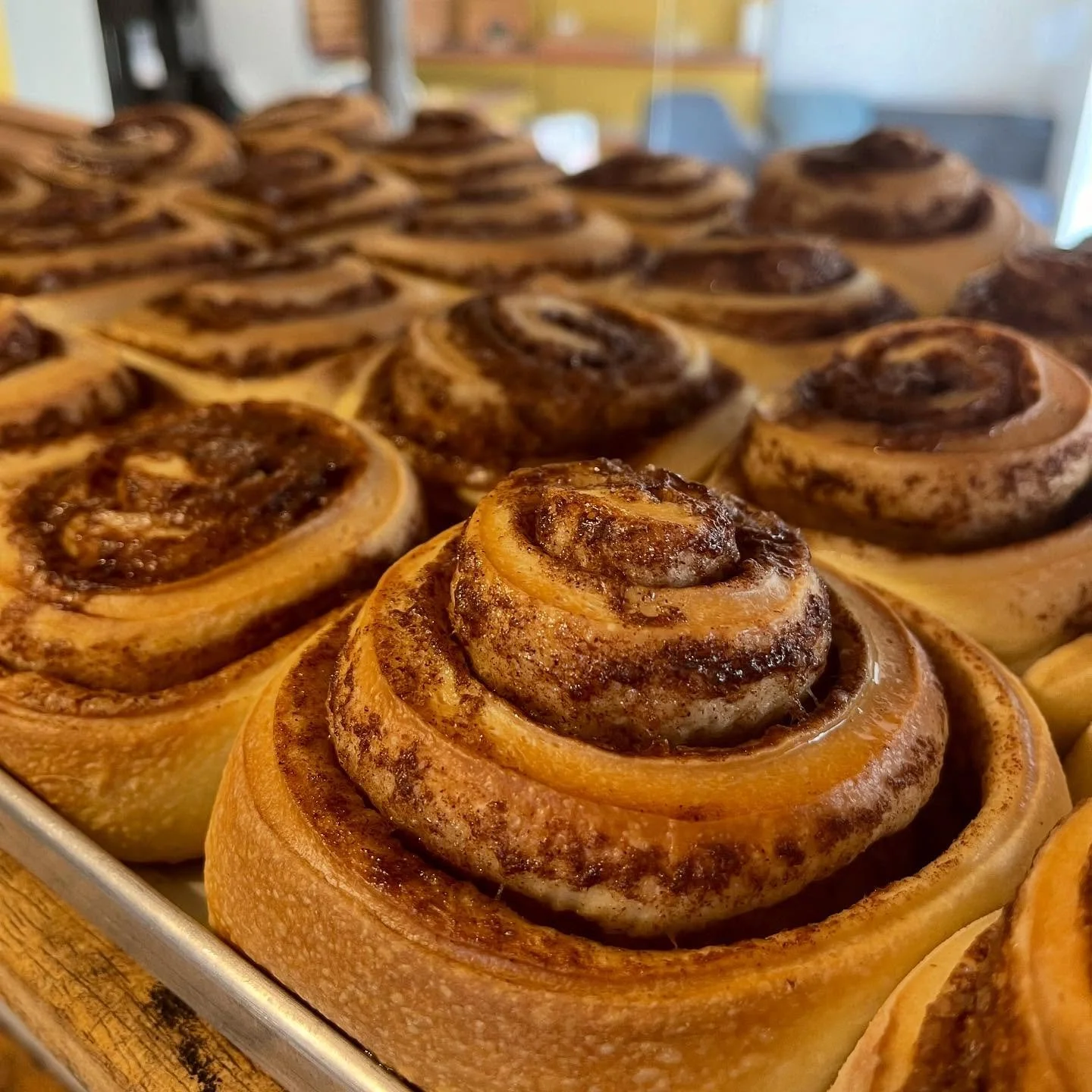 Die Zimtschnecken profitieren auch vom f&uuml;r das Panettone Backen besonders fitten Lievito Madre Sauerteig 🤩🐌