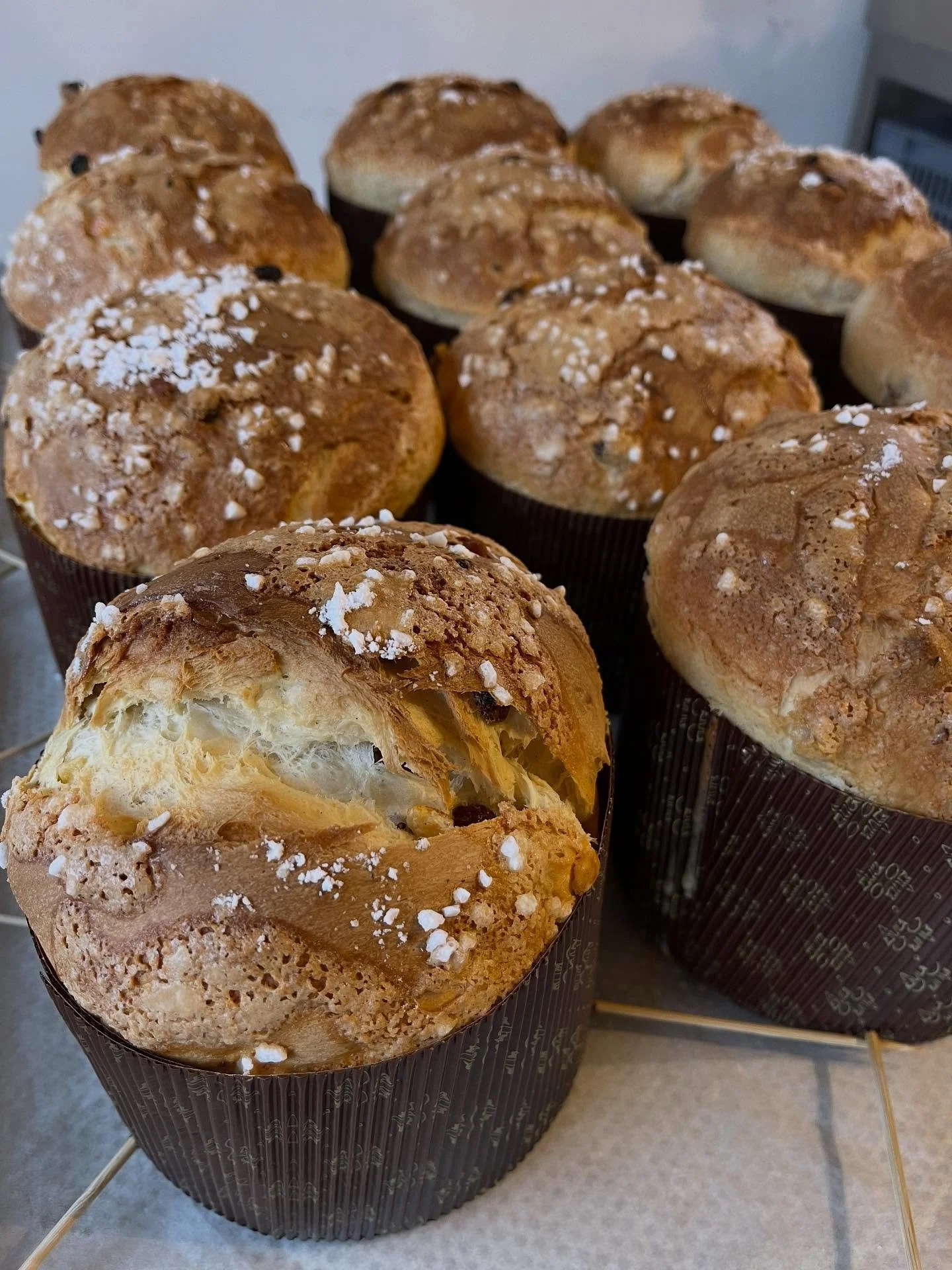 Wir haben gestern die erste gr&ouml;&szlig;ere Menge Idsteiner Panettone gebacken: Aus Mehl aus unserer Partnerstadt Lana in S&uuml;dtirol, Italien. 

Erstmal klassisch mit kandierten Orangenschalen und Rum-Sultaninen.  #lievitomadre #sauerteig 

Die