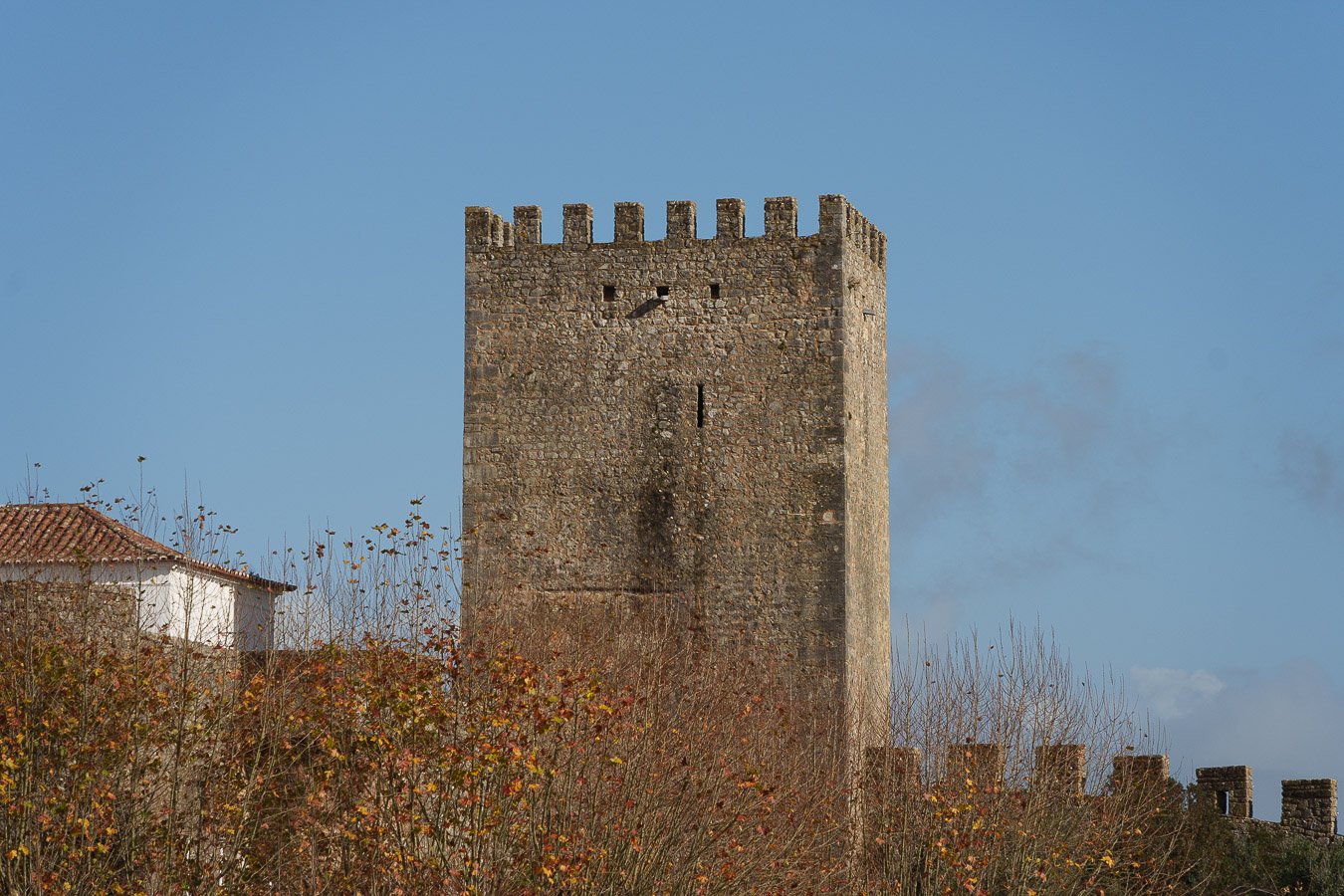 DSC00955.jpg