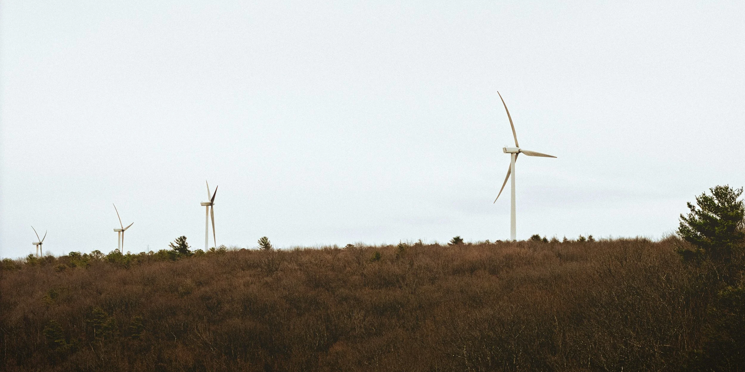 Consommation responsable : vers des modèles économiques plus durables