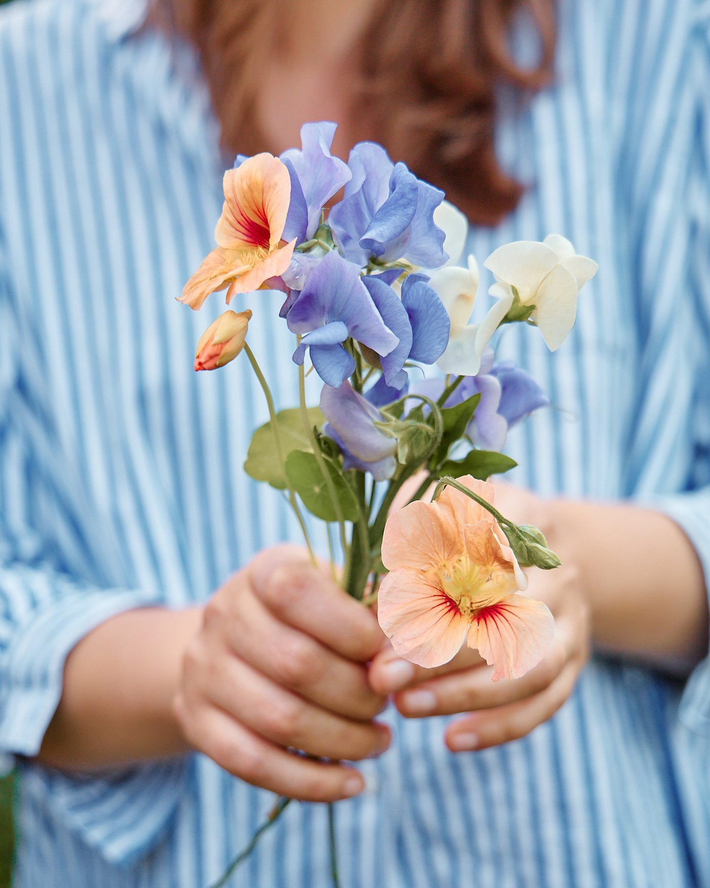Person holding a colorful bouquet of sweet pea flowers with blue, peach, white, and purple blooms.