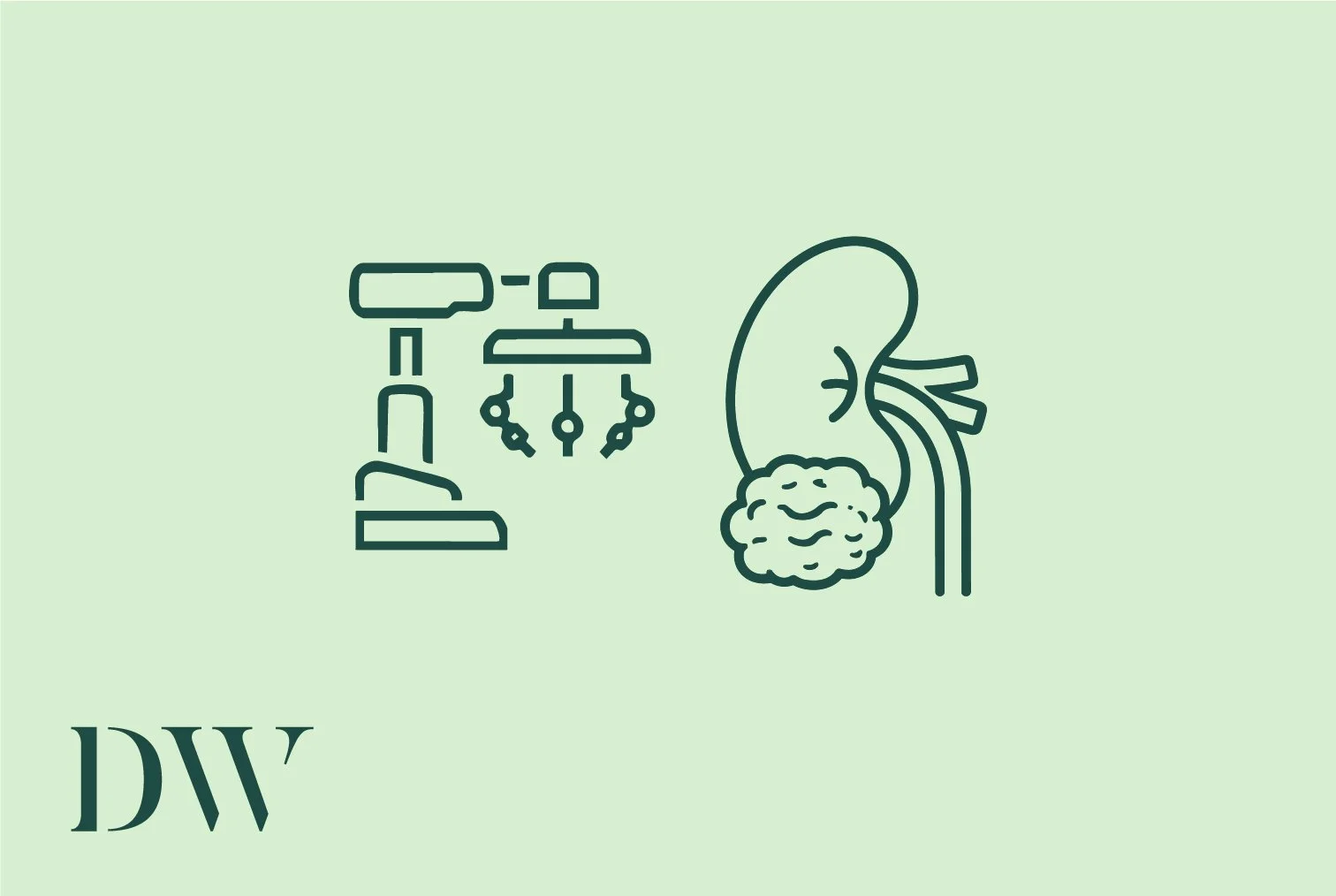 Simple illustration of a microscope, a human brain, and a kidney with some lines to represent details, on a light green background.