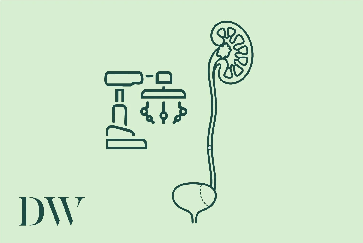 A line drawing of a microscope next to a simplified diagram of a kidney and urinary system on a light green background with the letters 'DW' in the bottom left corner.