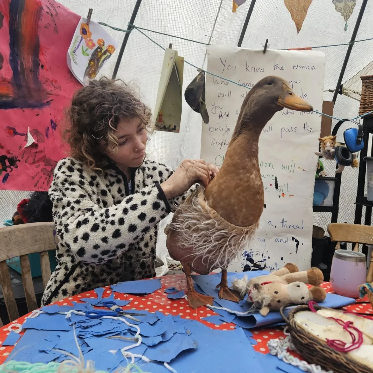 The adventures of Pancake the therapy duck.