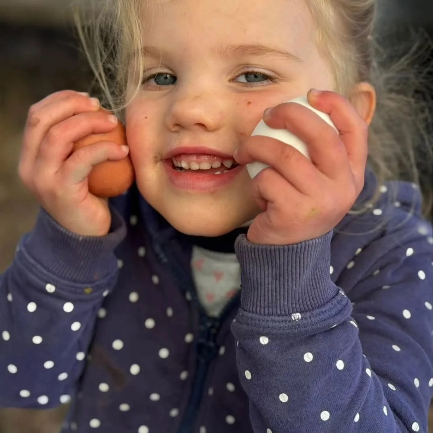March Forest Families in Kaliwoods celebrated the Spring Equinox today in the glorious sunny birdsong-filled woods with friends new and old.
Nests were woven, eggs decorated, land explored and the tool area was busy all morning. We sang together, lis