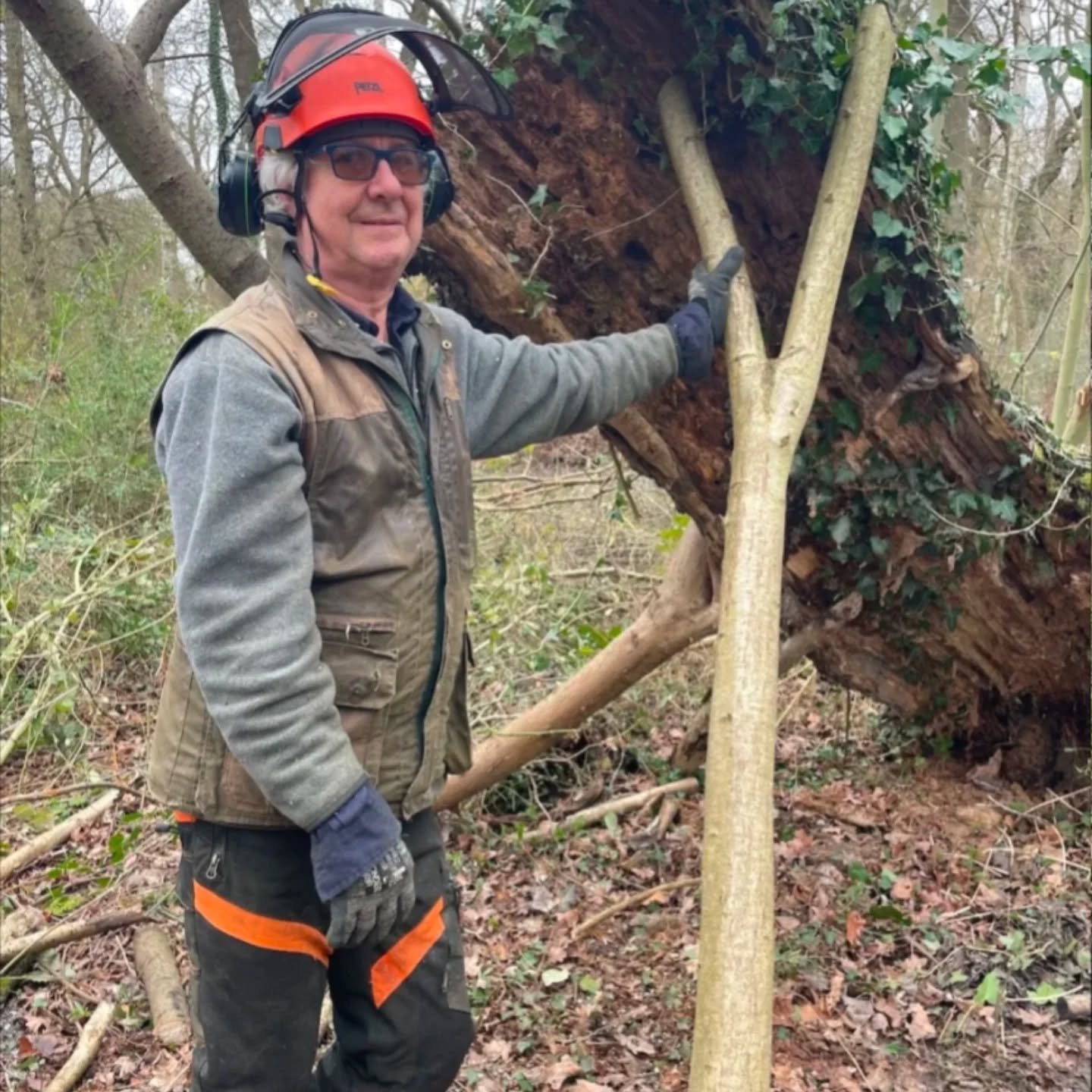 Rachel's last coppice of the season. 10 years since the first.
https://kaliwood.wordpress.com/2026/02/26/coppicing-2026/?fbclid=IwdGRjcAQOyV5jbGNrBA7JVmV4dG4DYWVtAjExAHNydGMGYXBwX2lkDDM1MDY4NTUzMTcyOAABHiO651H_HP8IR4ehK7pxINwVK5j86kotmTVPnZBj8rCb8MVz