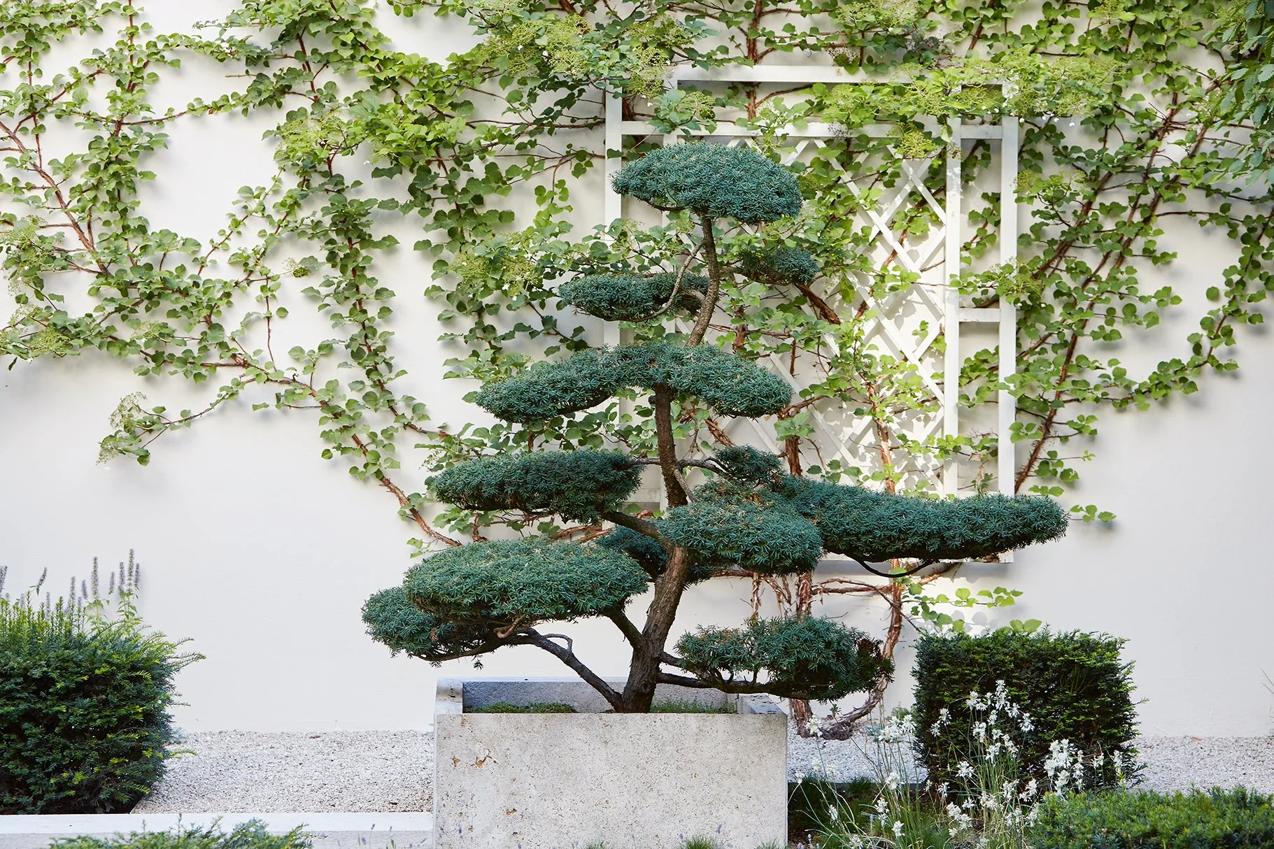 180724 WST Interior_II_0097.jpg