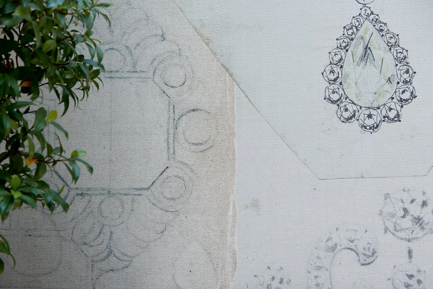 180814 WST Portrait_0461.jpg