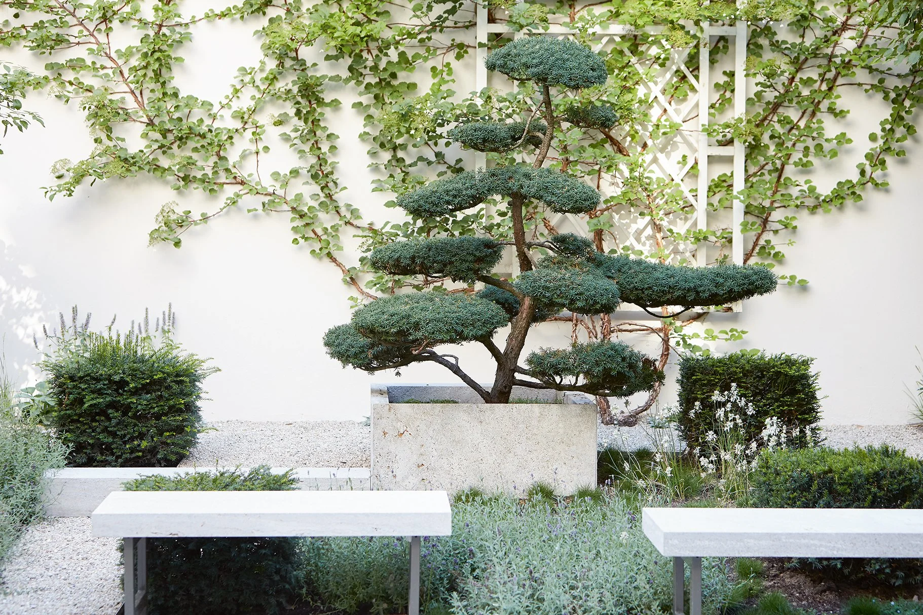 180724 WST Interior_II_0105.jpg