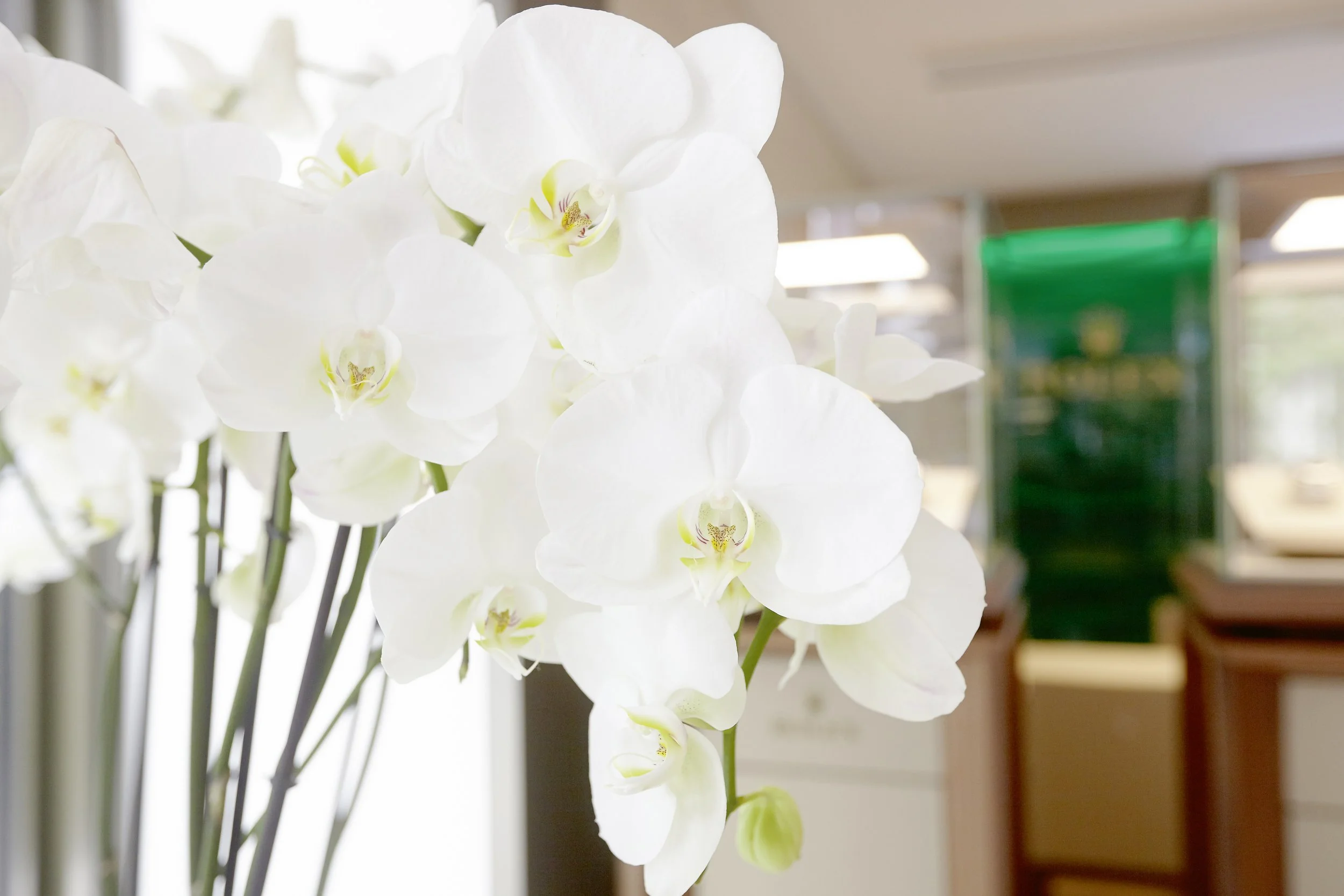 180724 WST Interior_II_0079.jpg