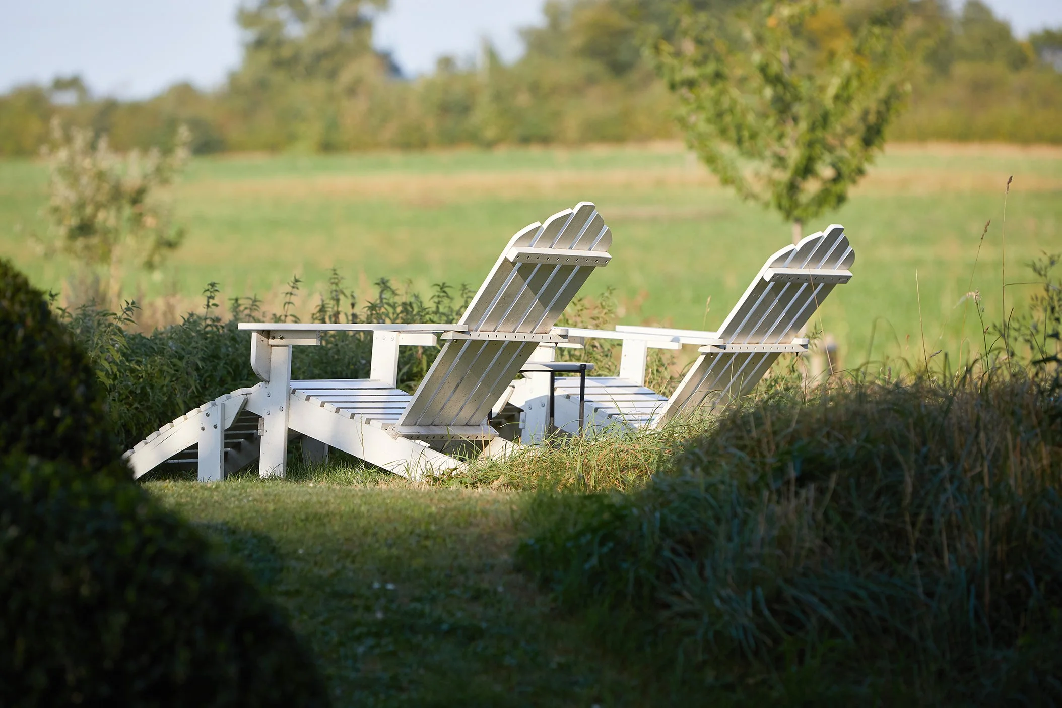 240831 Spiegelkino_0167.jpg