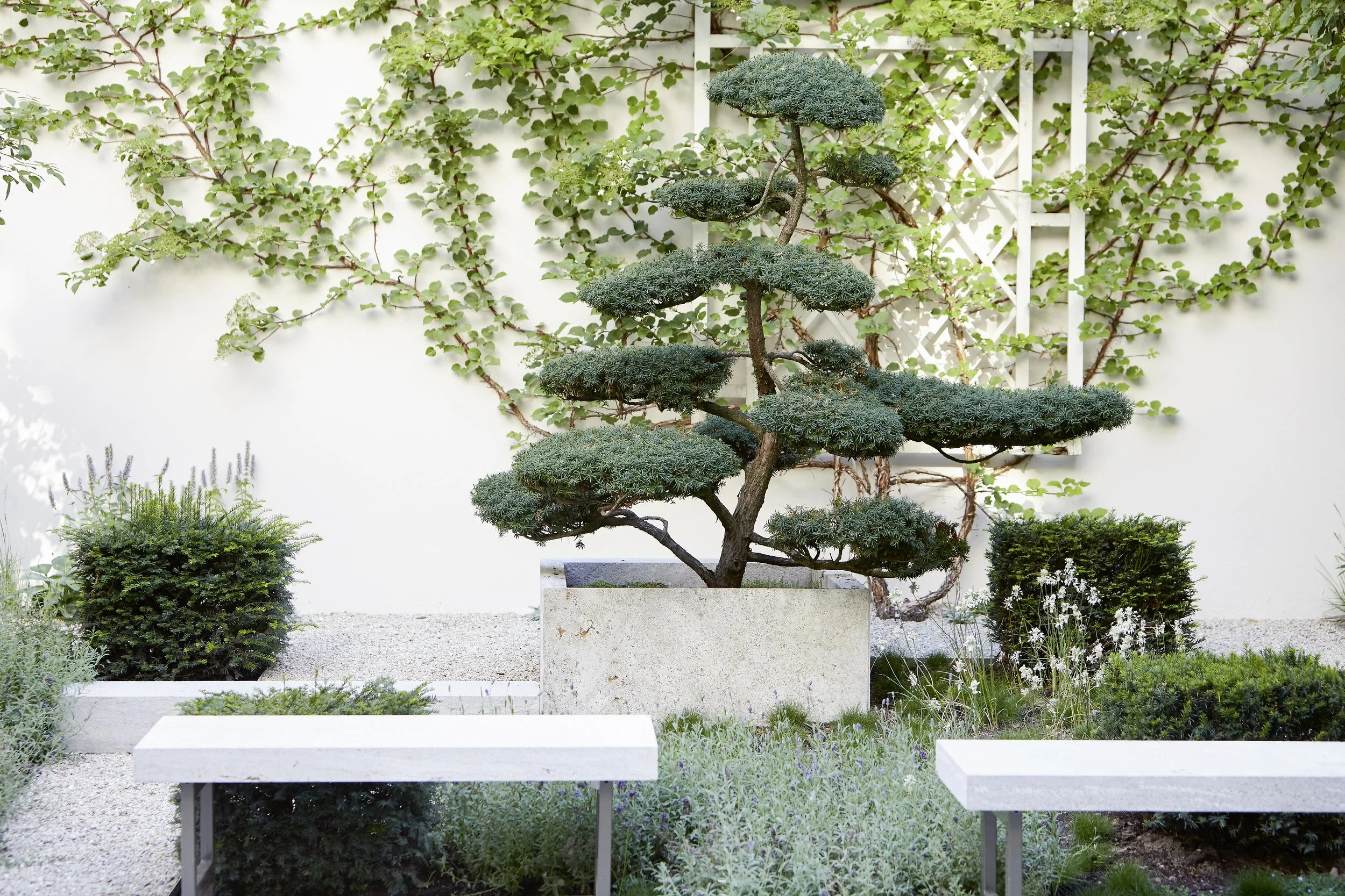 180724 WST Interior_II_0105.jpg