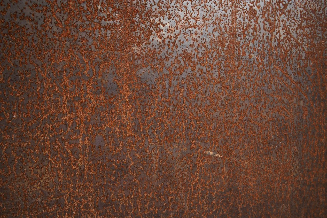 2011_FeldKapelle_-00274.jpg