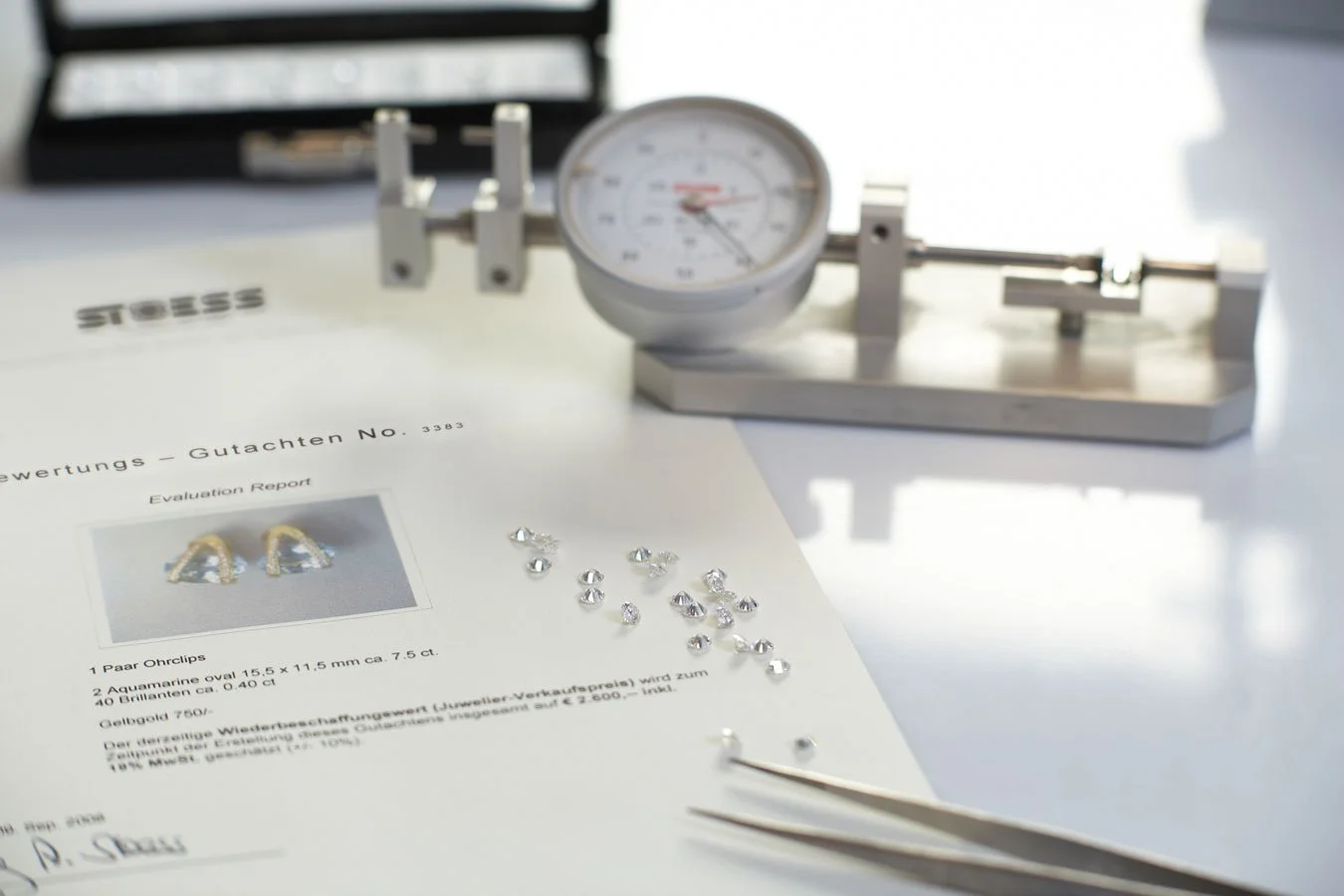 Expertise und Gutachten