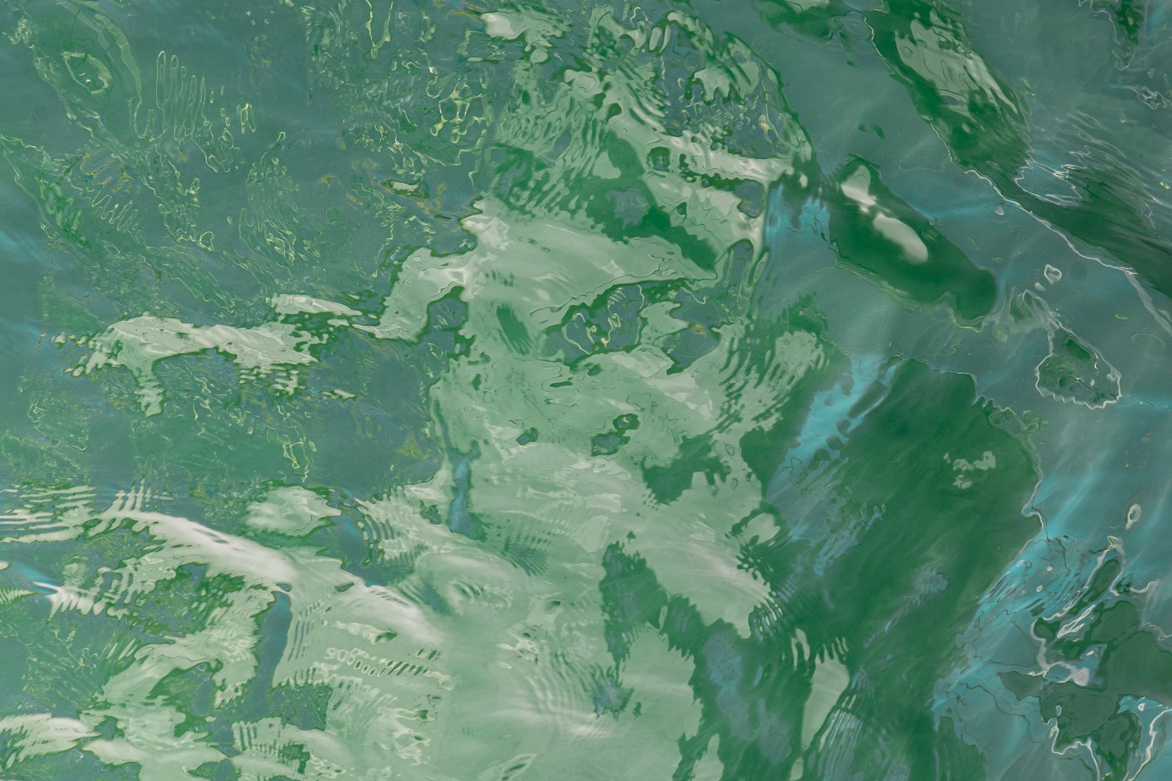 julia-camardese-green-19.jpg