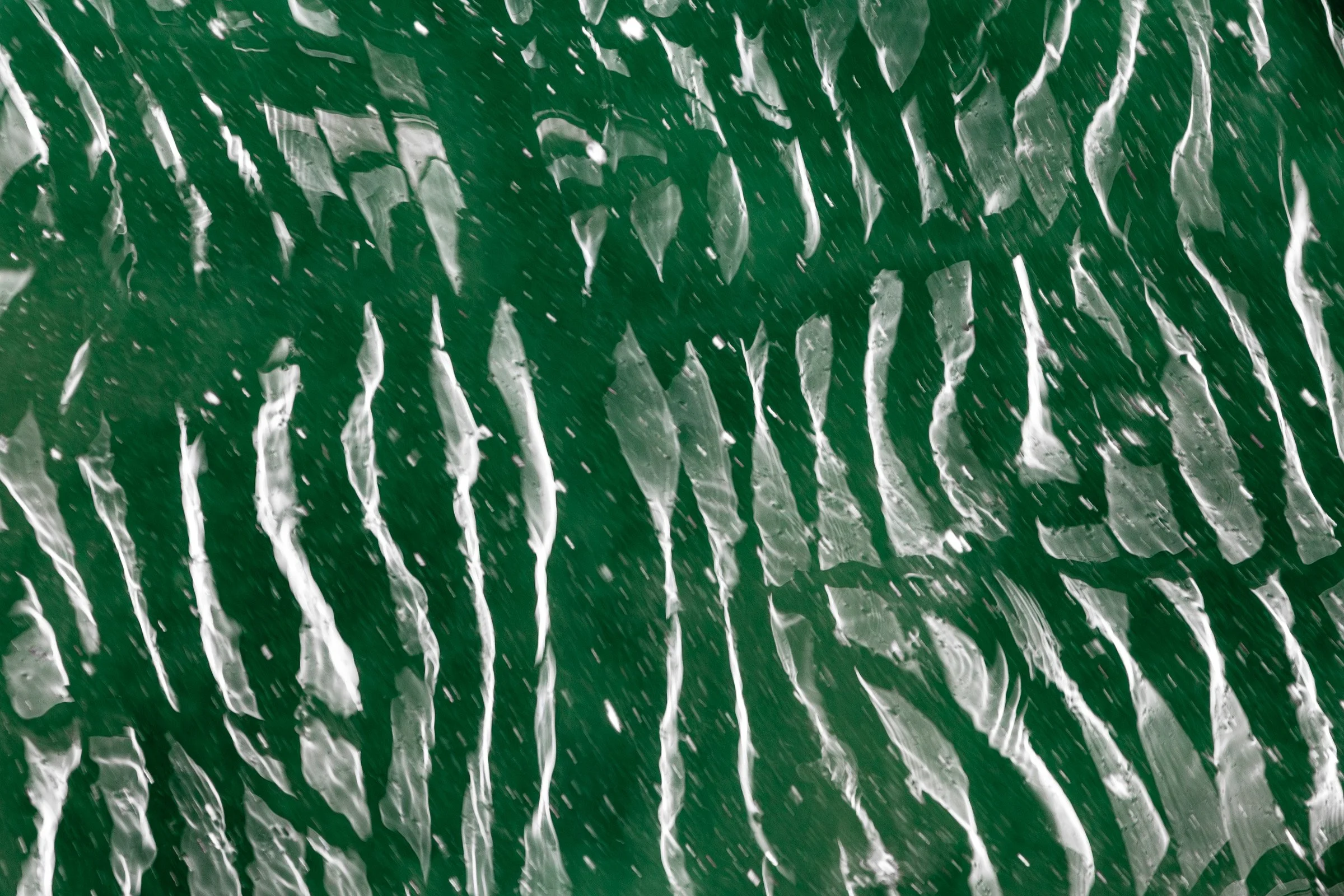 julia-camardese-green-04.jpg