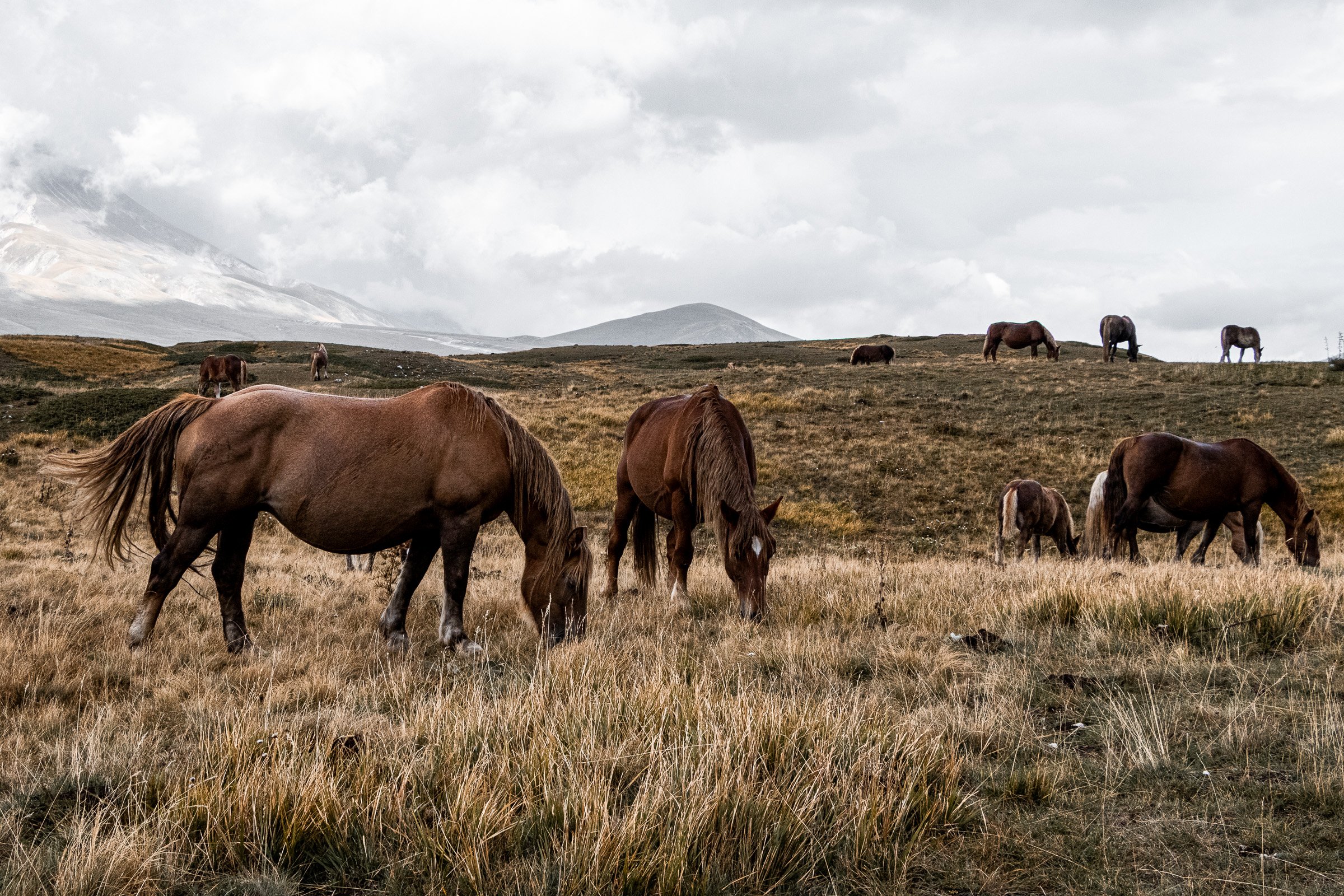 julia-camardese-campo-imperatore-24.jpg