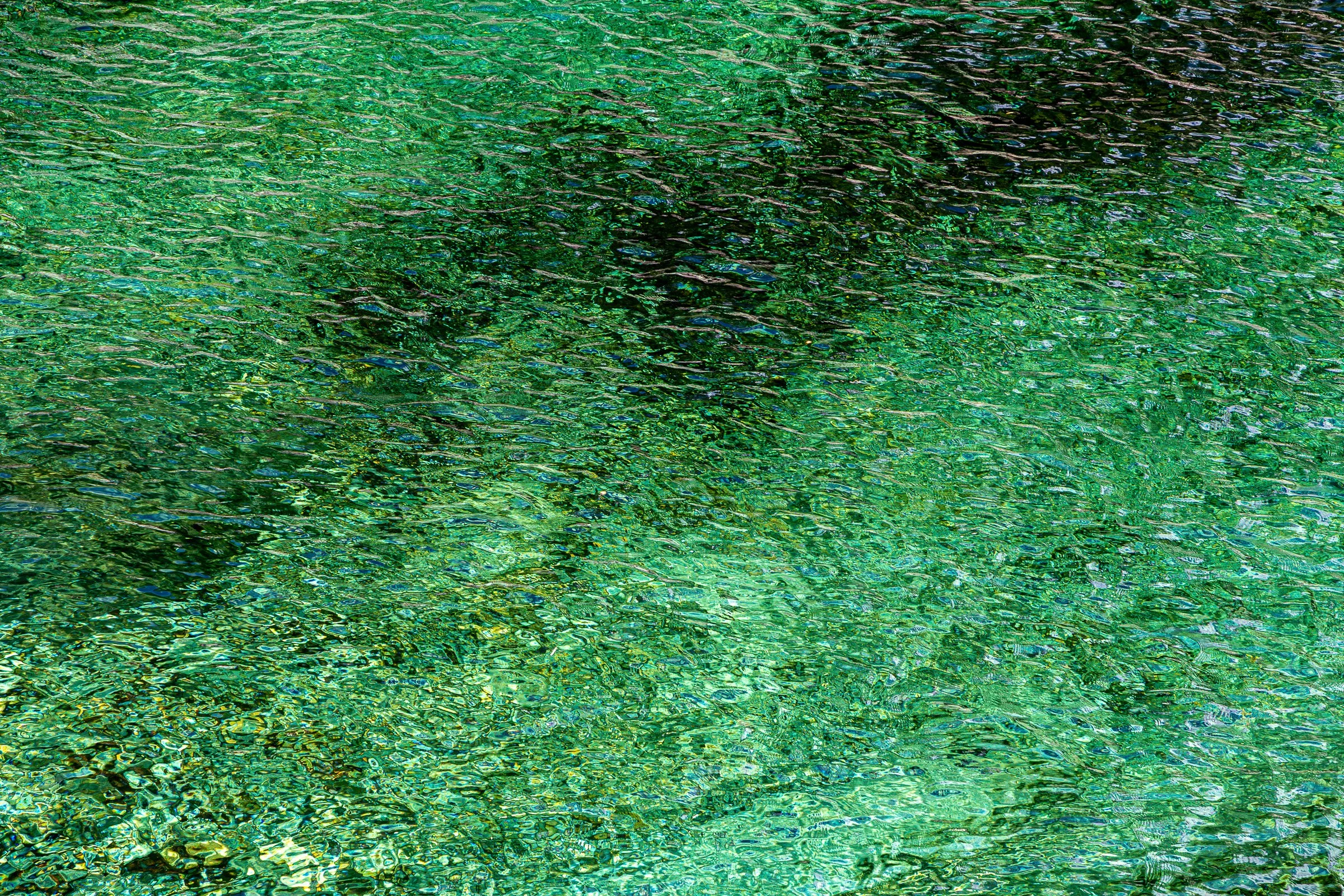 julia-camardese-green-25.jpg