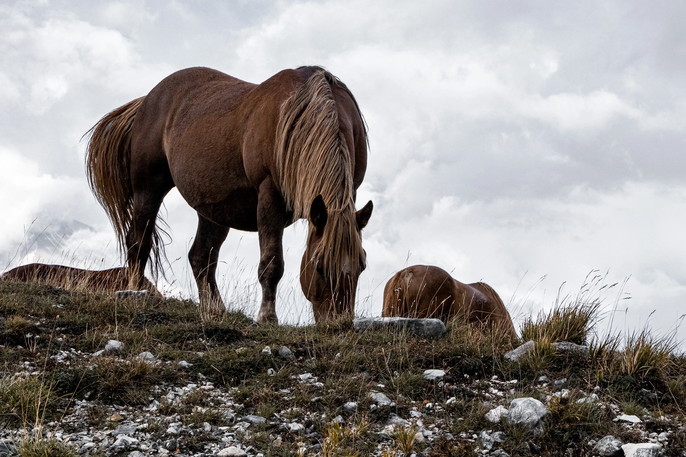 julia-camardese-campo-imperatore-25.jpg