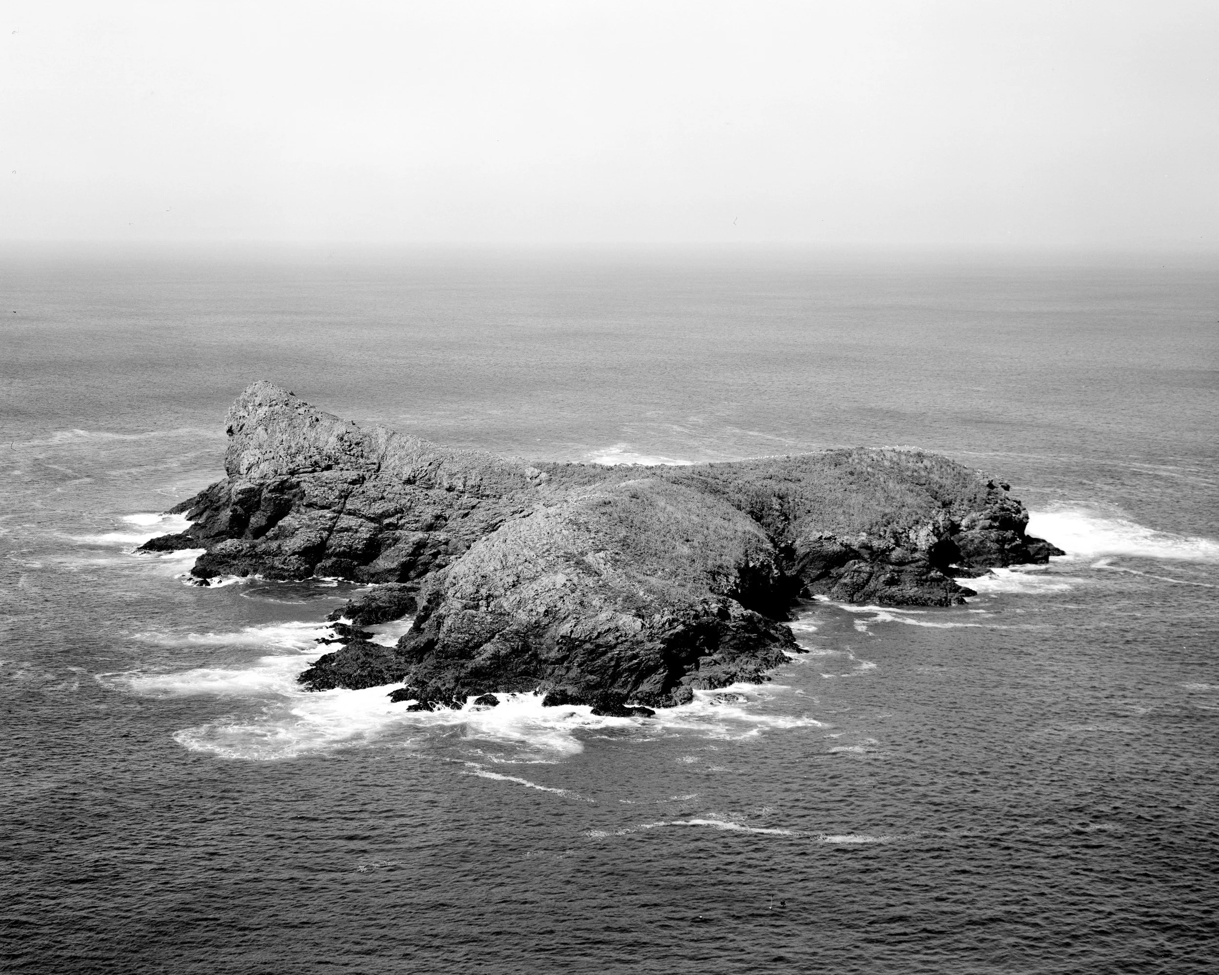 Landscape_website-11.jpg