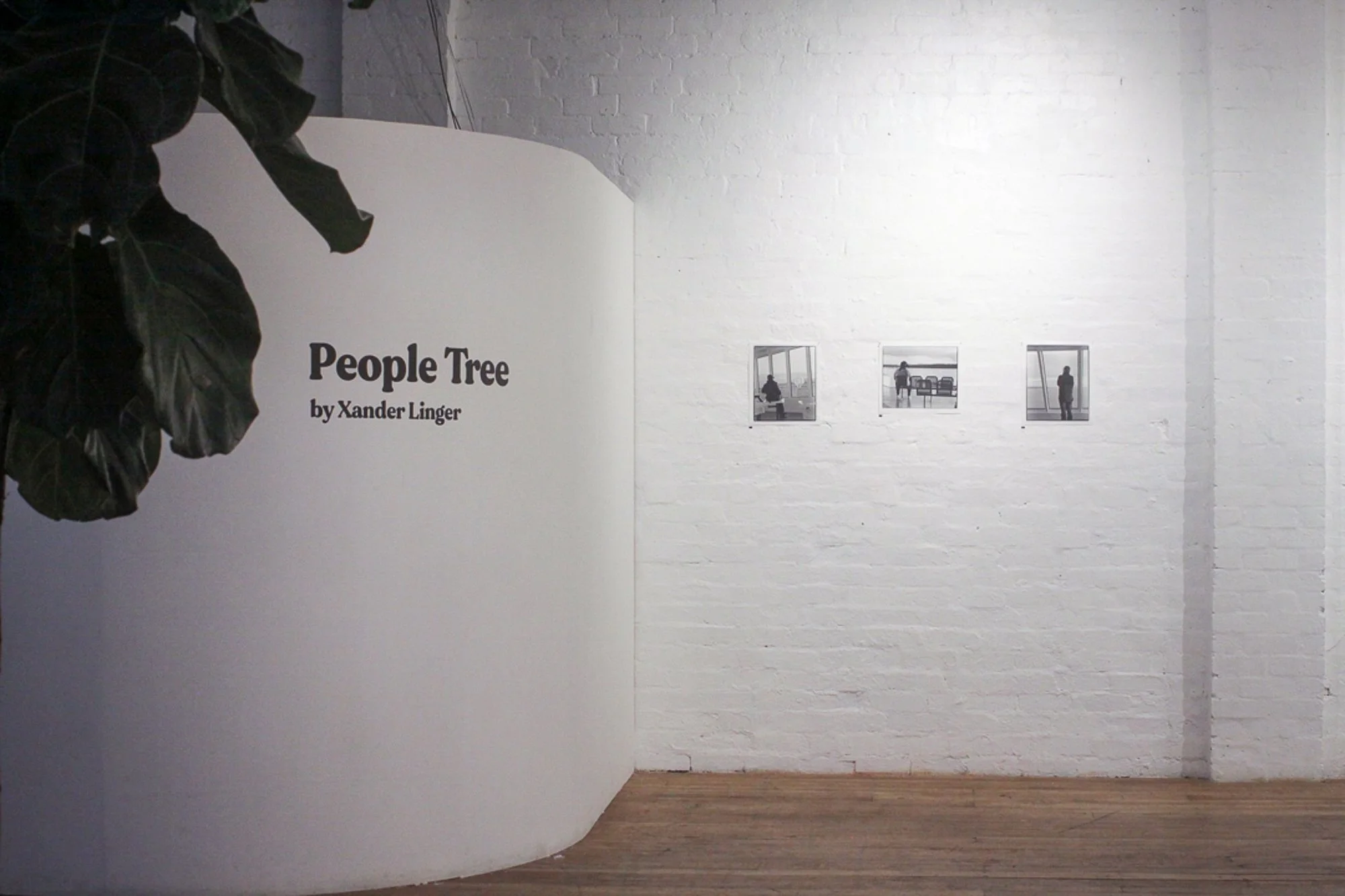 www_PeopleTree_install-1.jpg