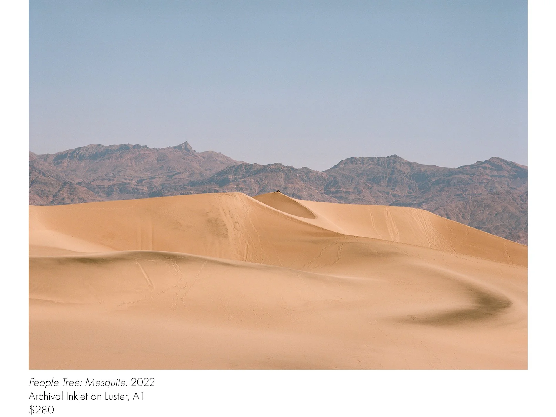 www_Prints_PTMesquite.jpg