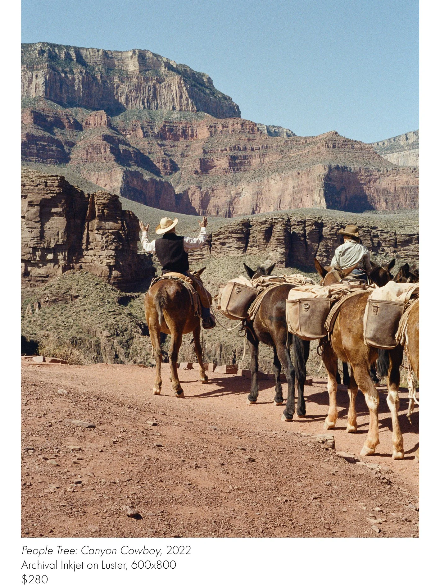 www_Prints_PTCowboy.jpg