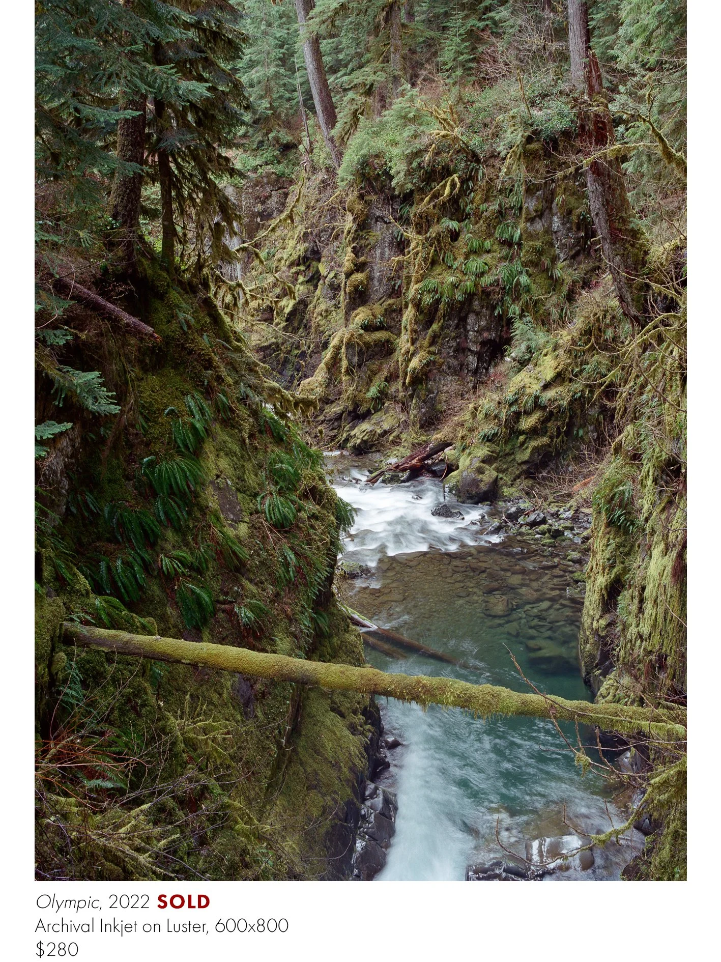 www_Prints_Olympic copy.jpg