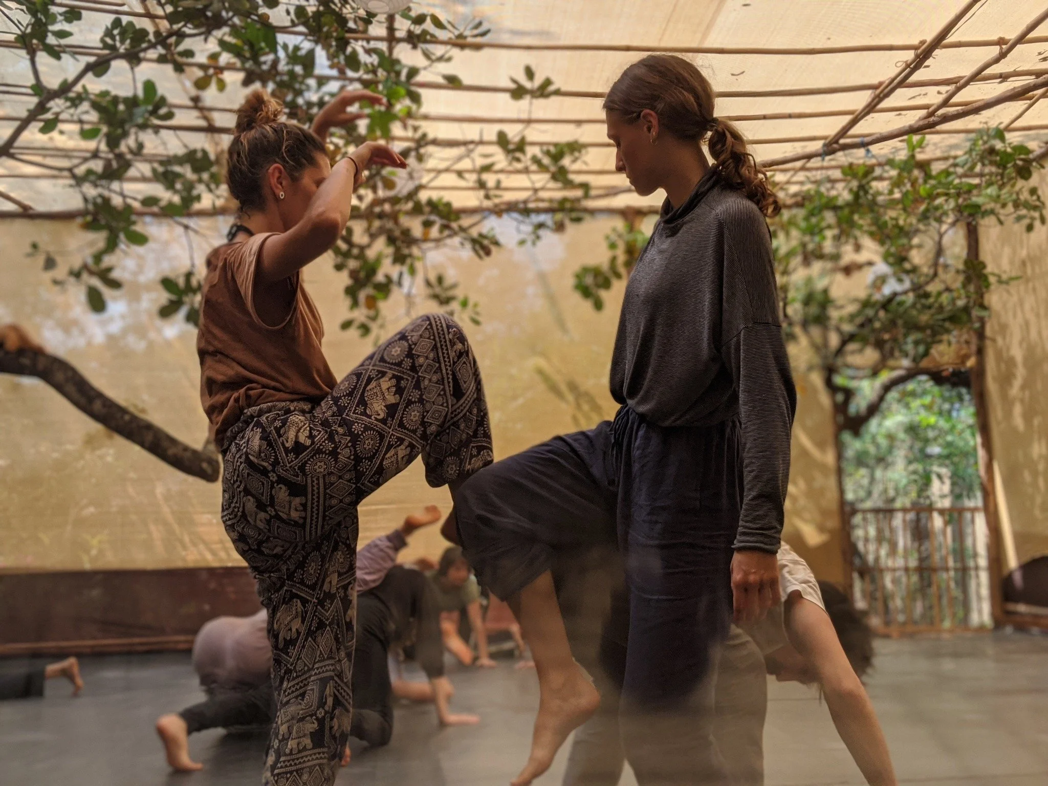 SPRING IN THE NORTH: contact improvisation