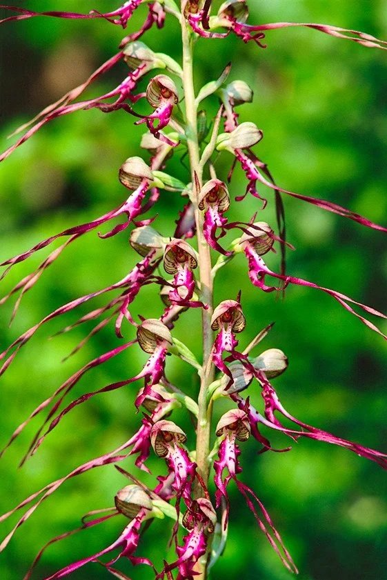 Costas Zissis photography