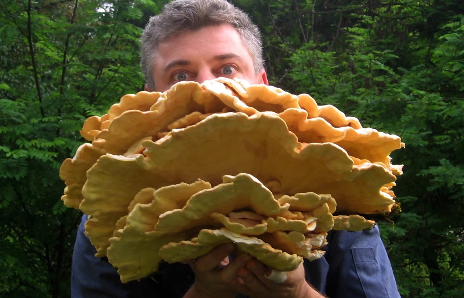 chef Vasilios Katsoupas
