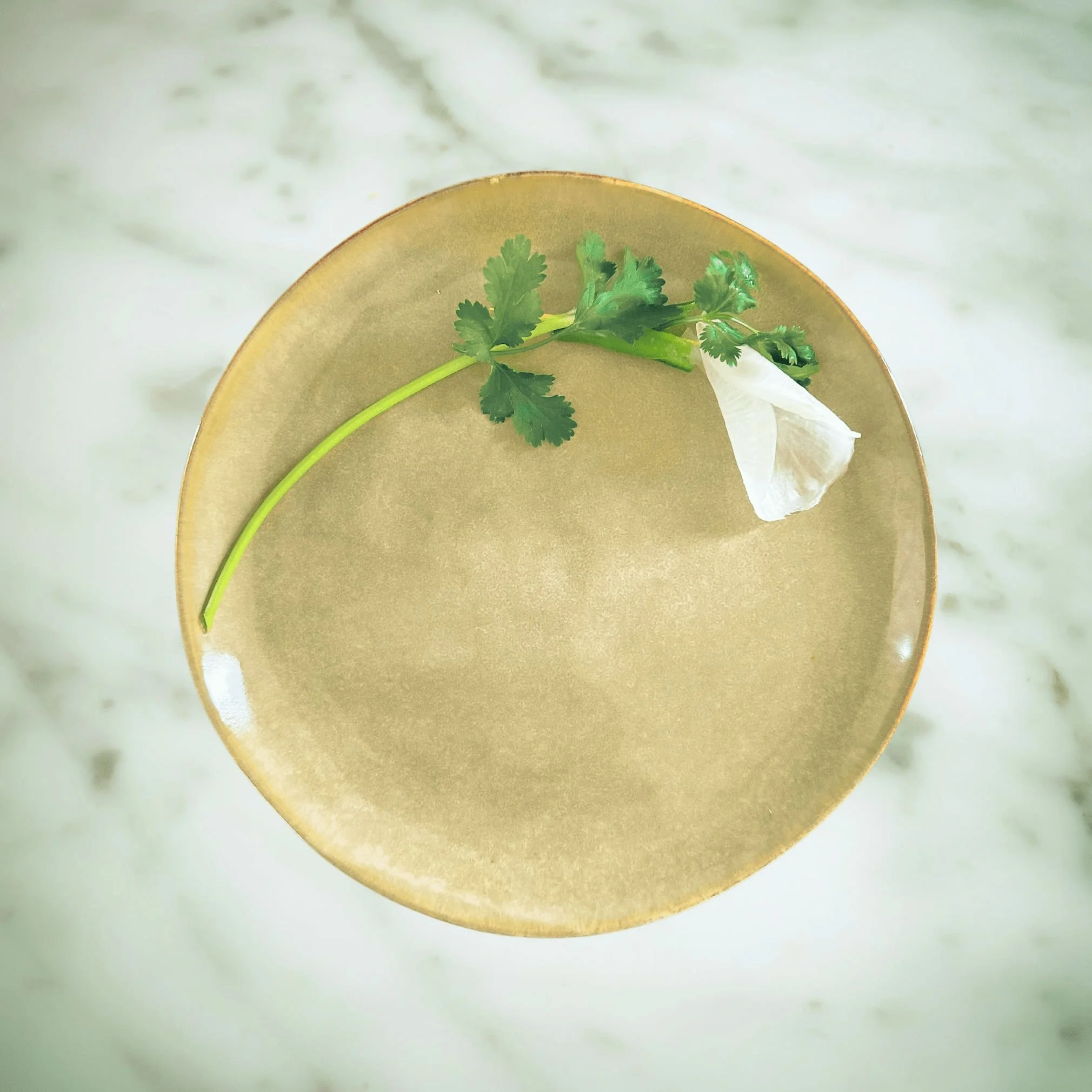 Cilantro and Mooli Art.jpg