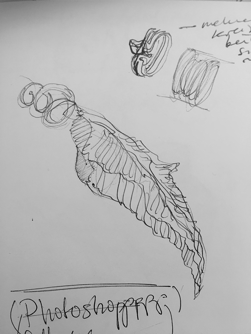 Black and white sketch of a detailed leaf and abstract shapes with handwritten notes and the word "Photoshop" partially visible.
