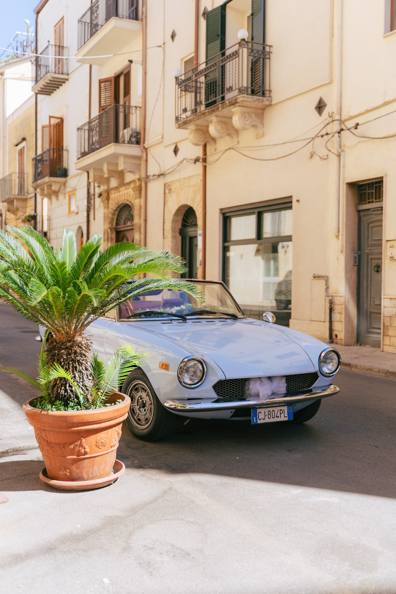 Una pianta in vaso di terracotta al centro dell'immagine accanto a un'auto di colore bianco parcheggiata sulla strada, con edifici residenziali sullo sfondo.