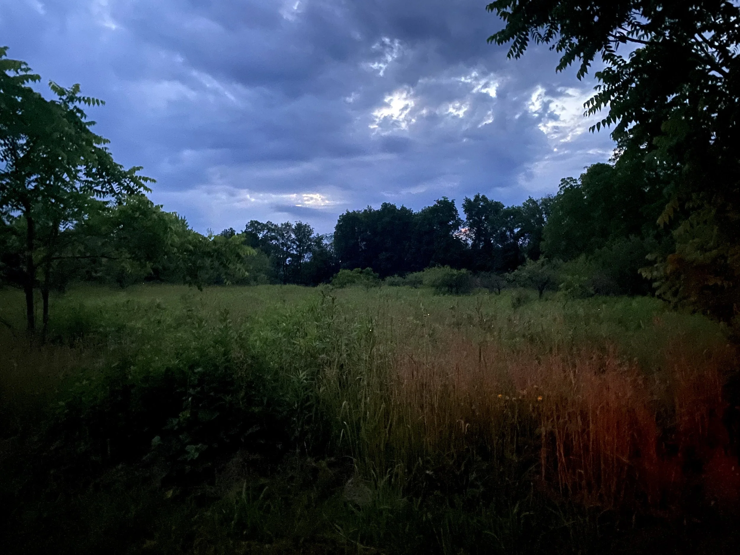 Wheel of the Year Community Gatherings: Lughnasadh Gathering 