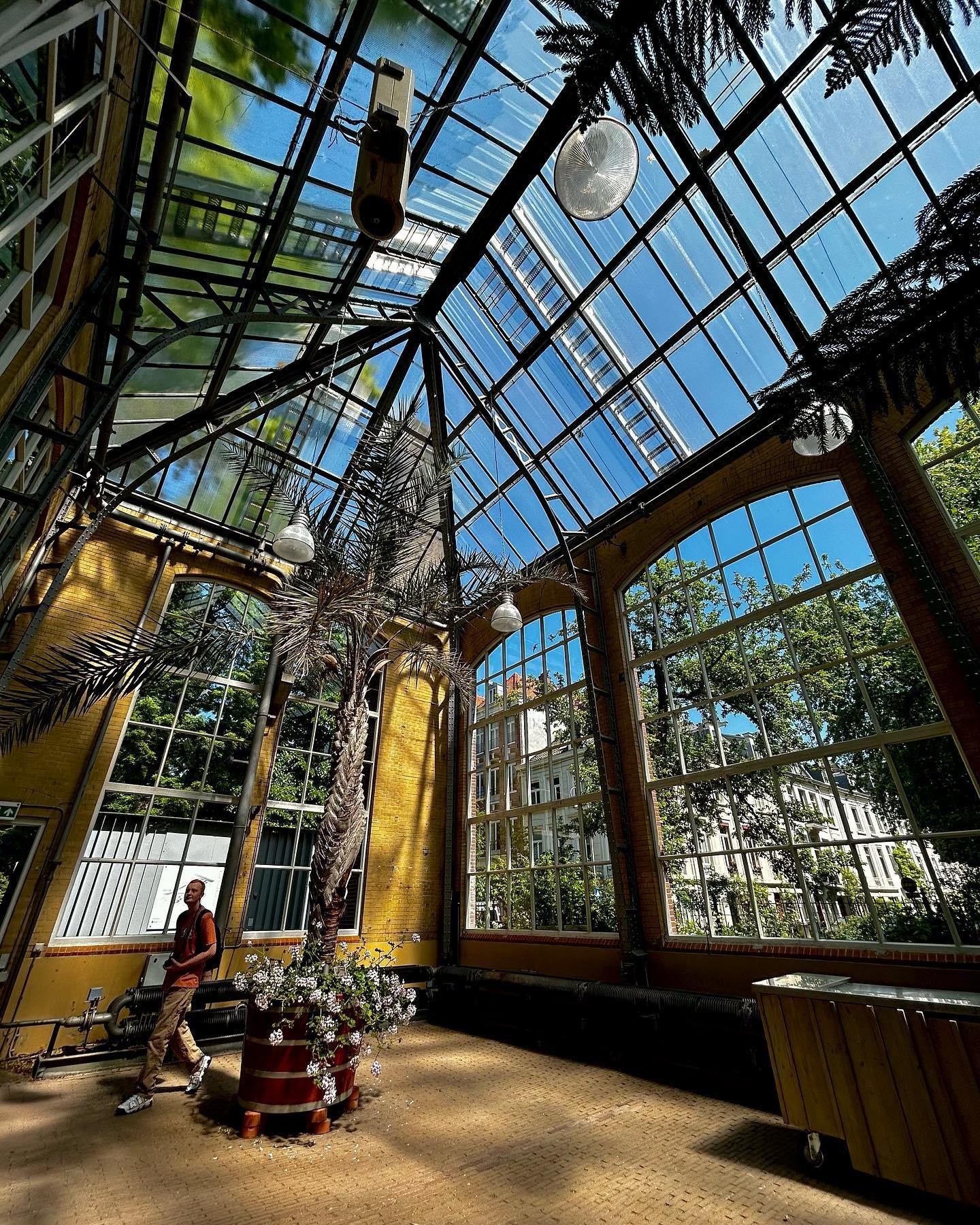 amsterdam 2/2🌷🤍