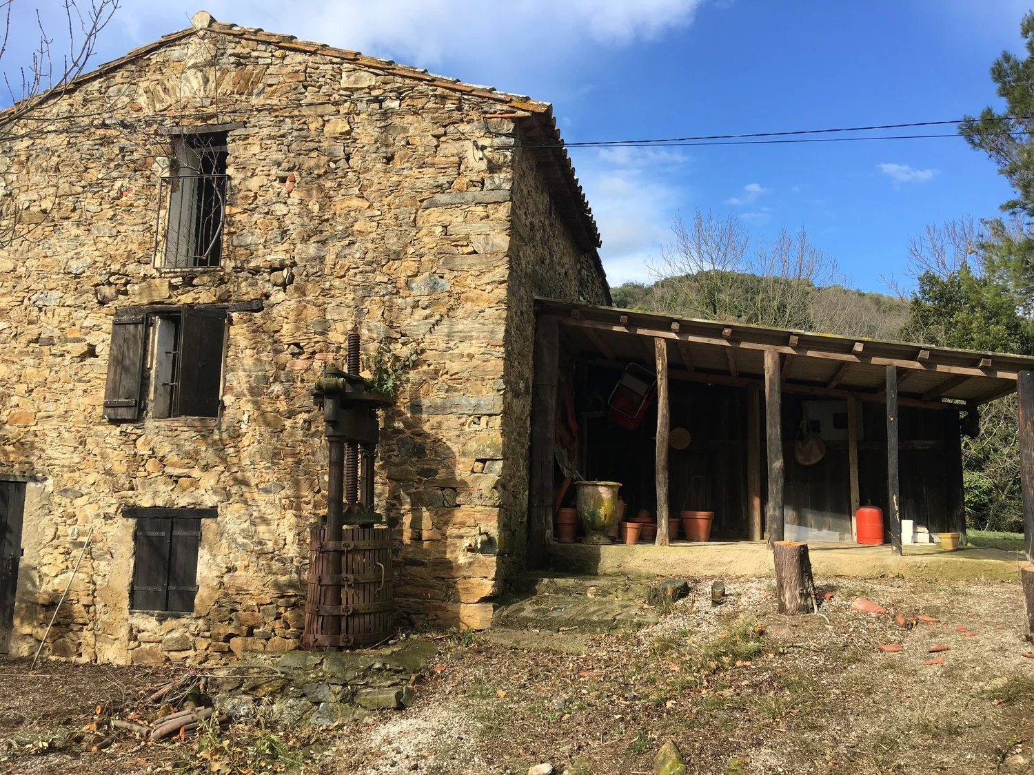 Four years of careful work at Domaine Madrona
