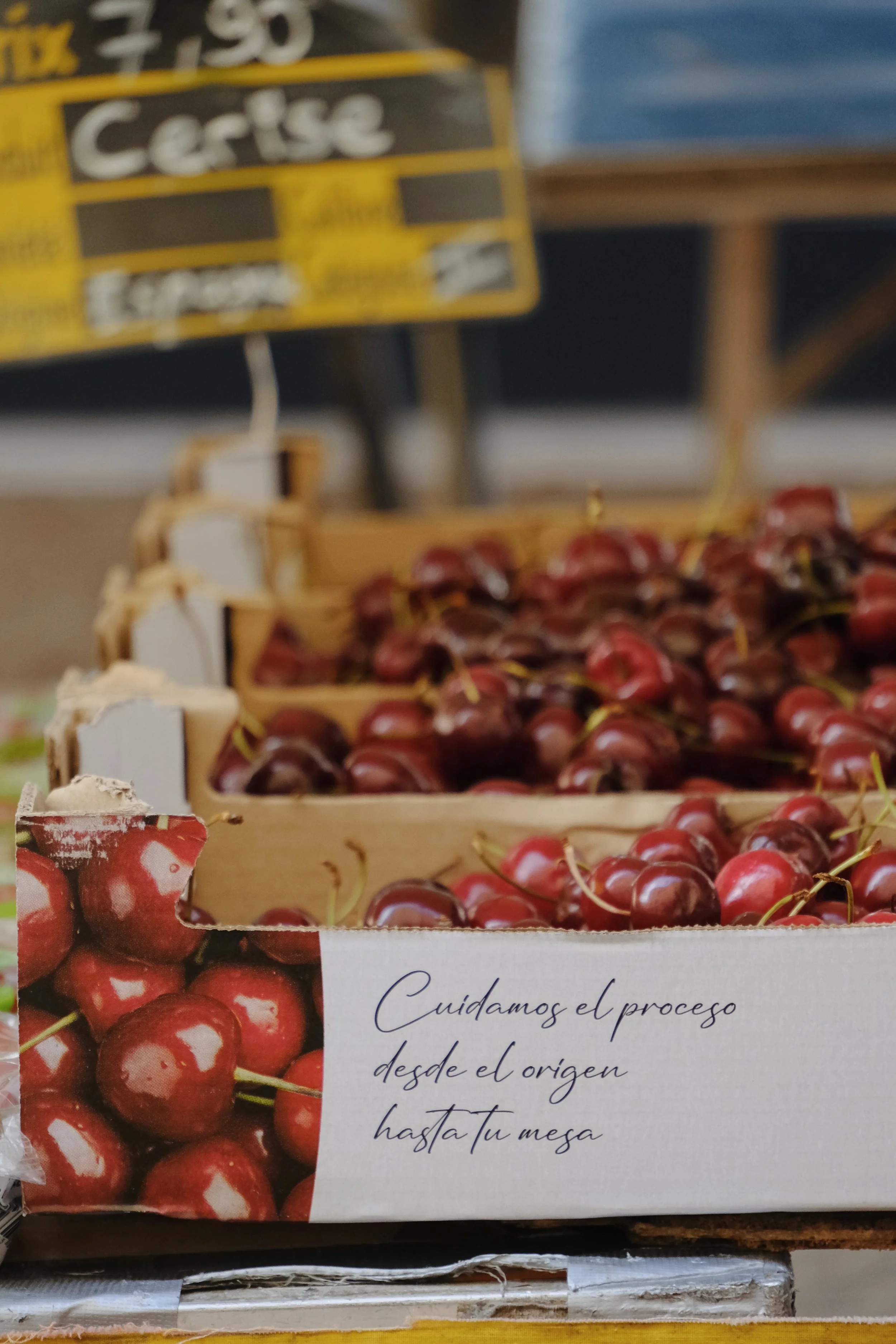 Emma_Lavelle_Madrona_MarketDay_3.jpg
