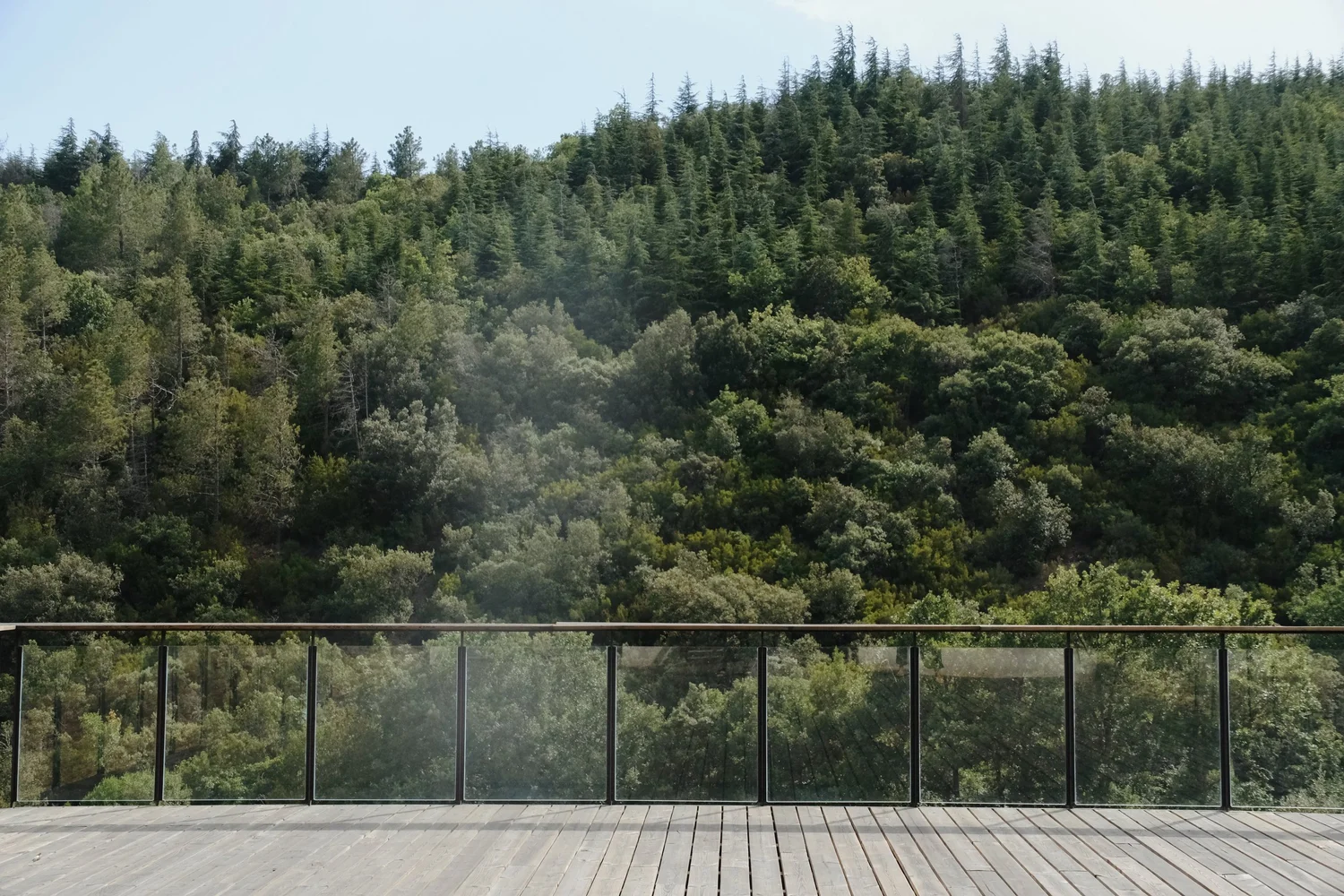 Outdoor retreat platform in the Madrona forest