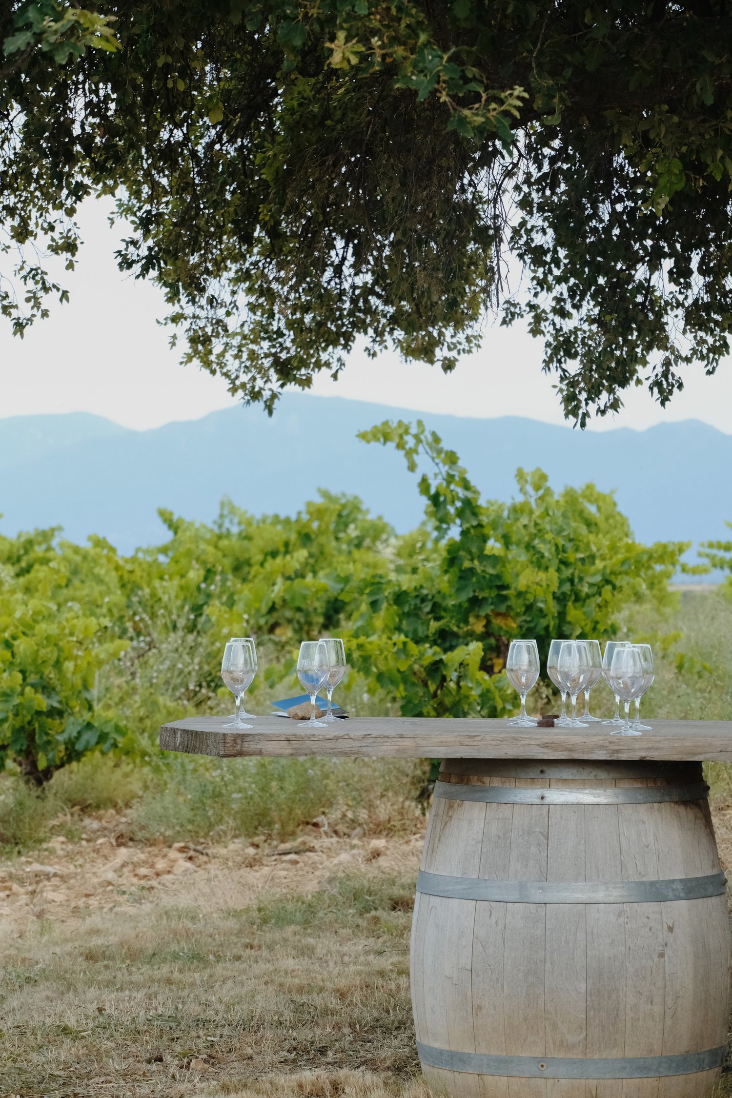 A local wine tasting at Domaine Madrona
