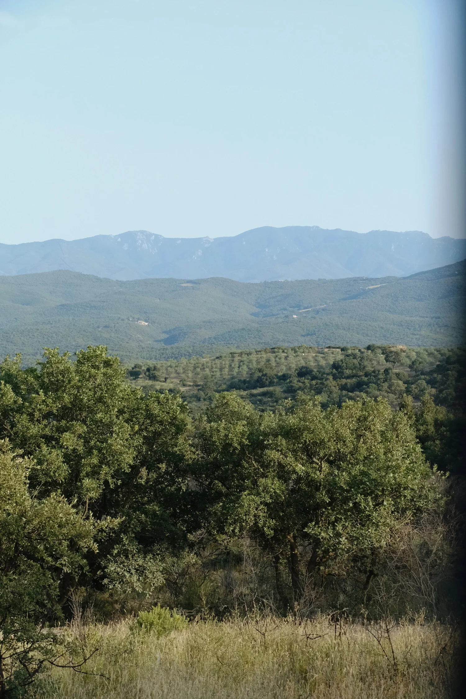Surrounding landscape at or near Domaine Madrona