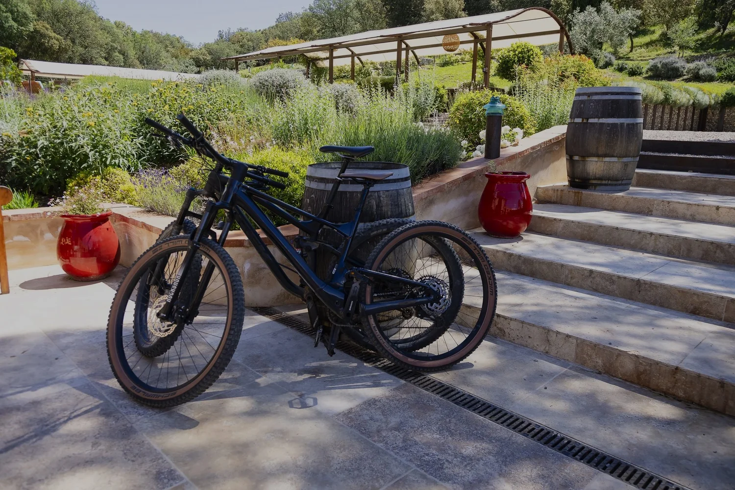 Mountain biking & cycling at Domaine Madrona