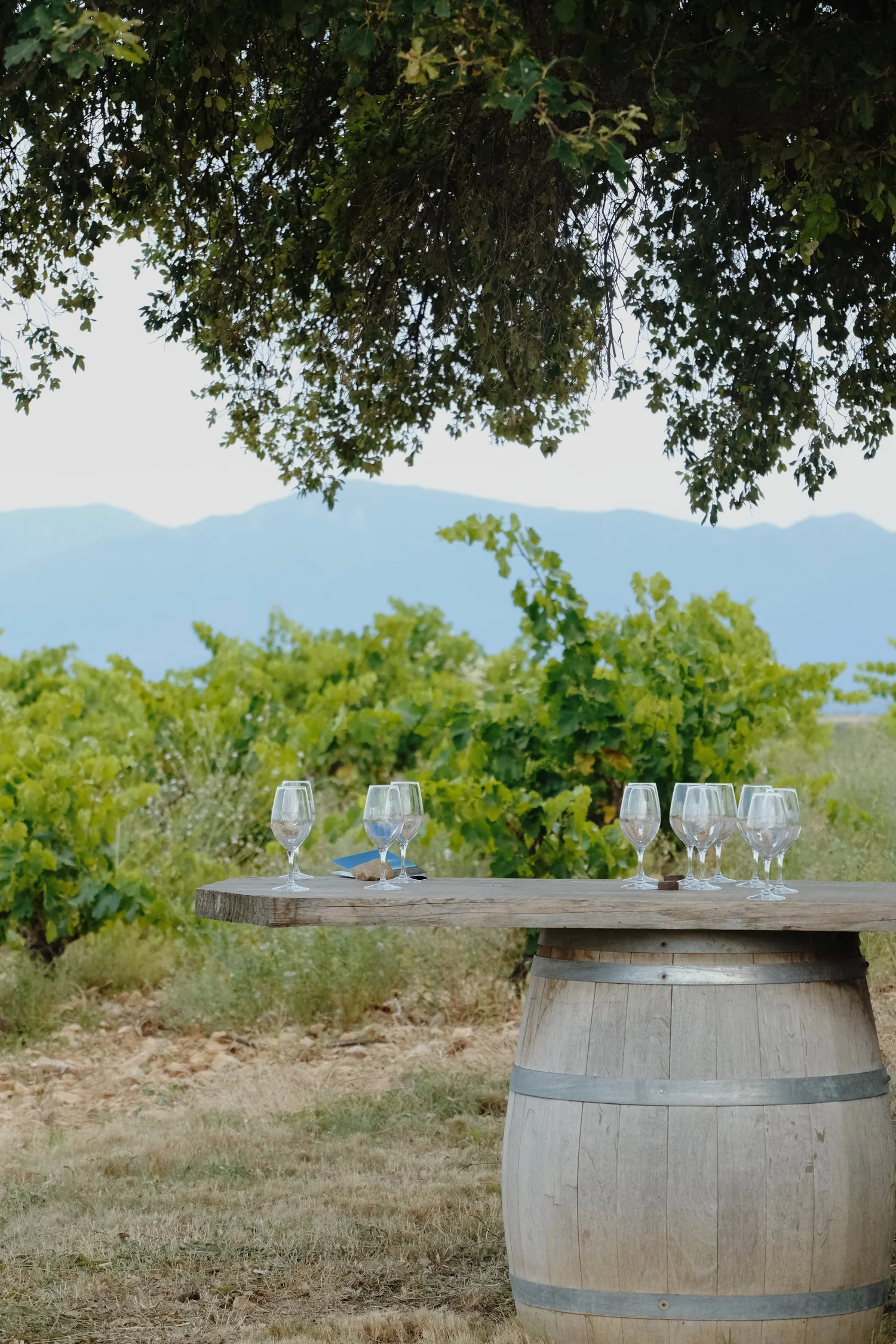 Wine tasting at or near Domaine Madrona